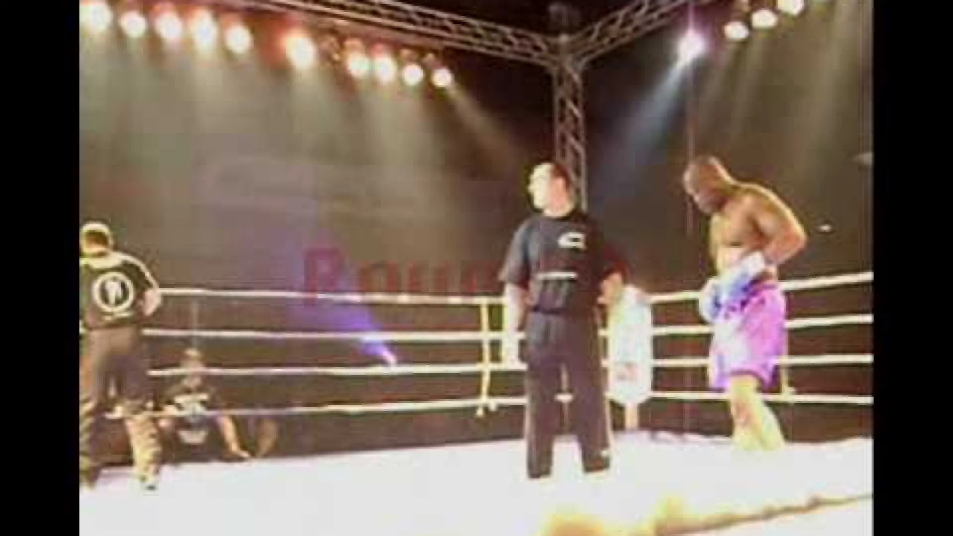 Gary Goodridge vs Igor Mihaljevic (Fight Video)