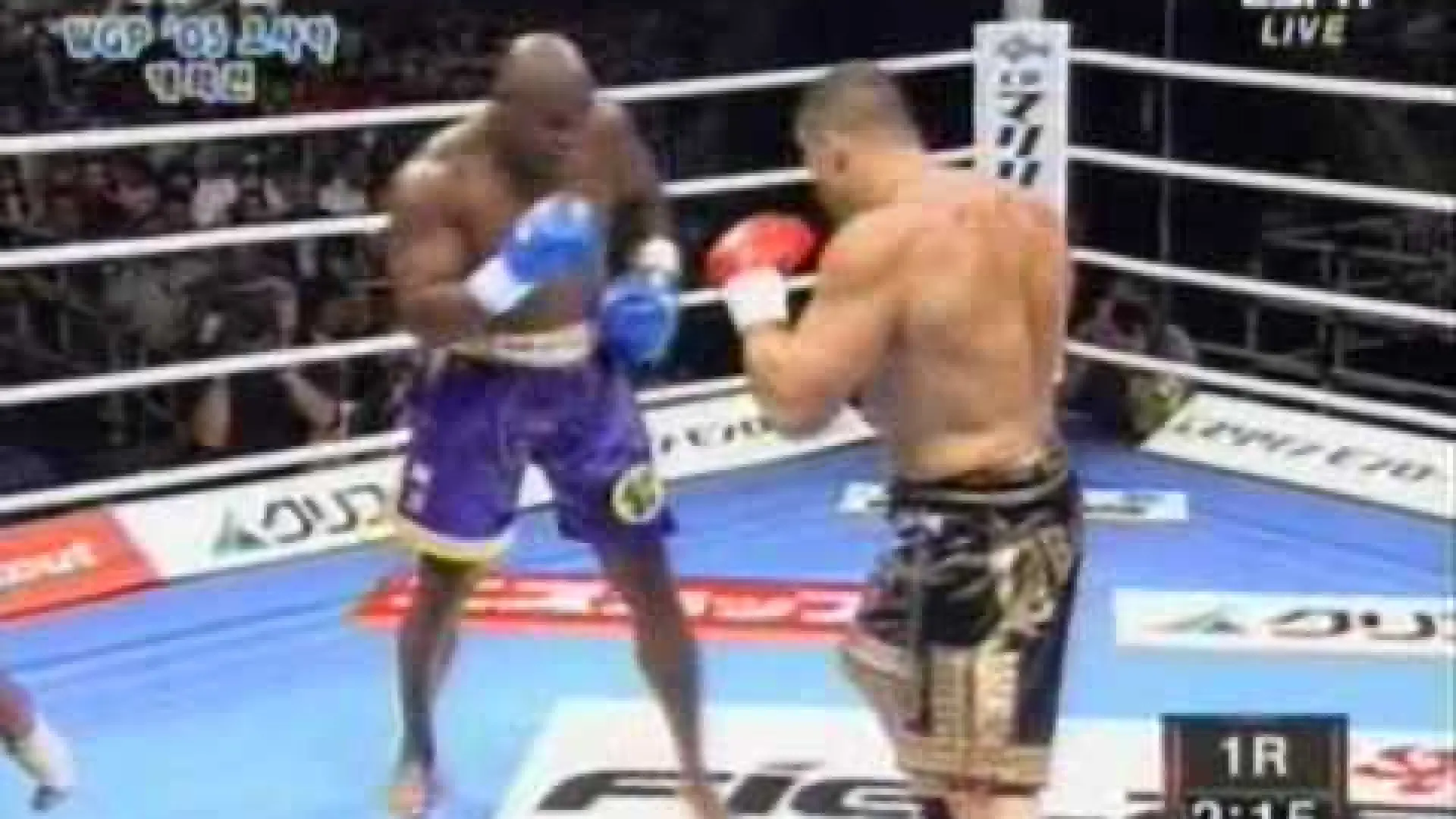 Gary Goodridge vs Jérôme Le Banner (Fight Video)
