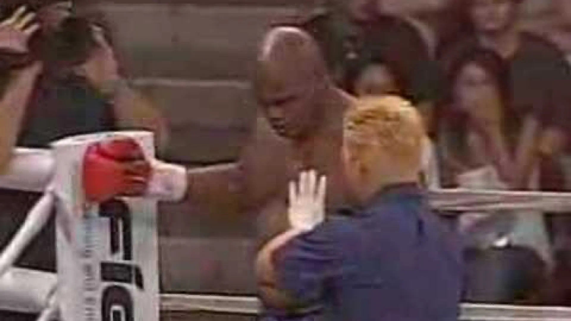 Gary Goodridge vs Pat Barry (Fight Video)