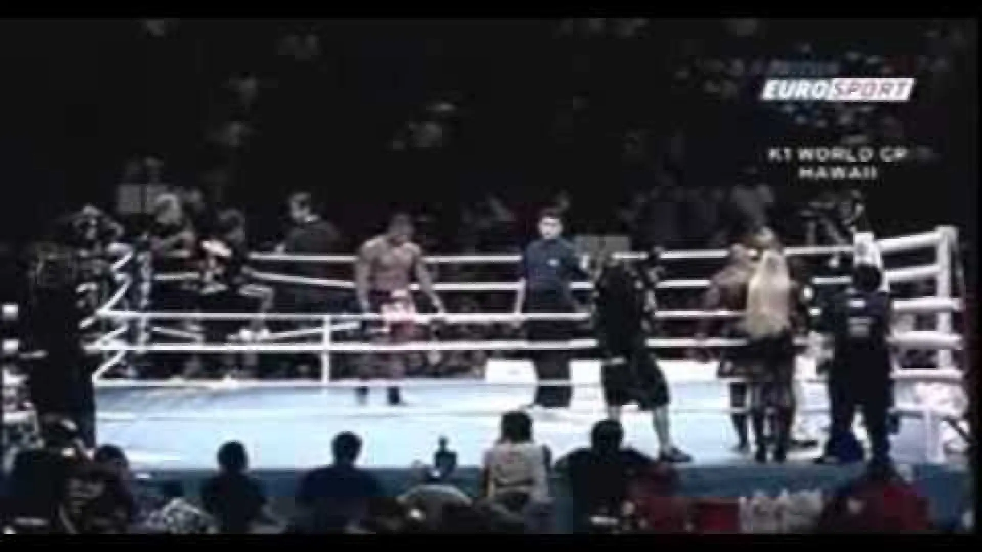 Gary Goodridge vs Carter Williams (Fight Video)