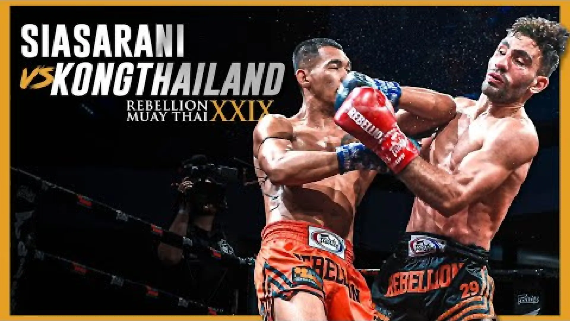 Mohammad Sadeghi vs Kongthailand Kiatnavy (Fight Video)