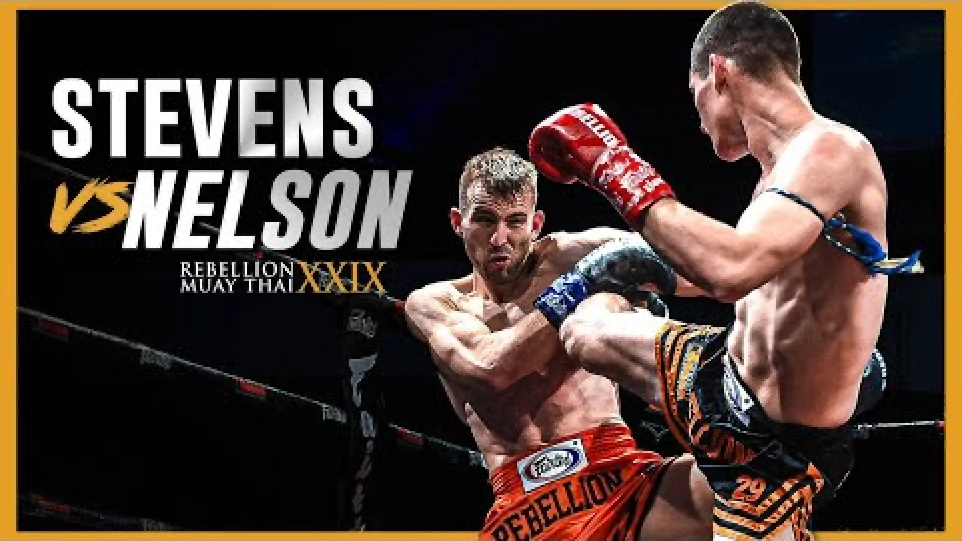 Damon Nelson vs Matthew Stevens (Fight Video)