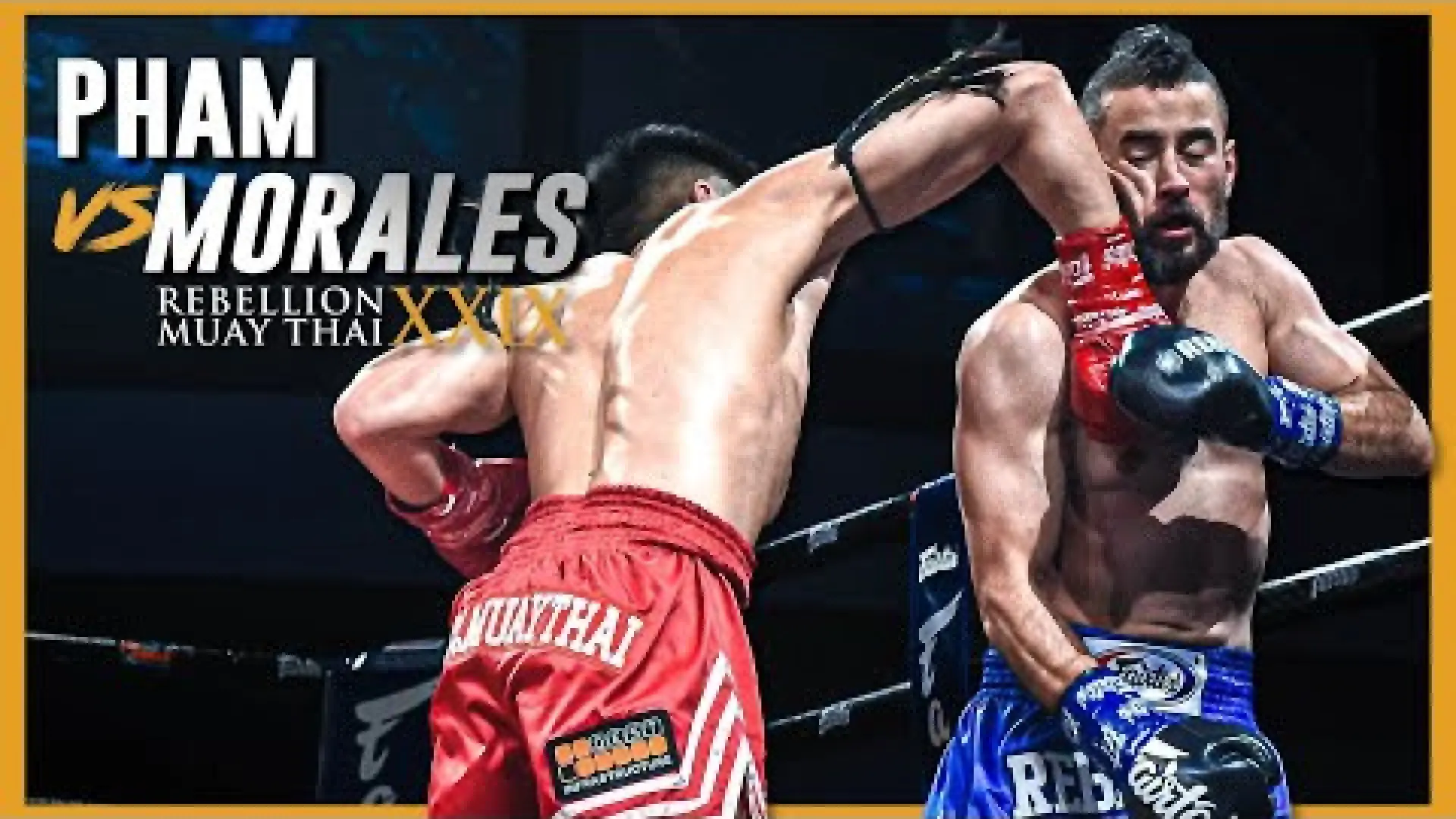 Quang Pham vs Steven Morales (Fight Video)