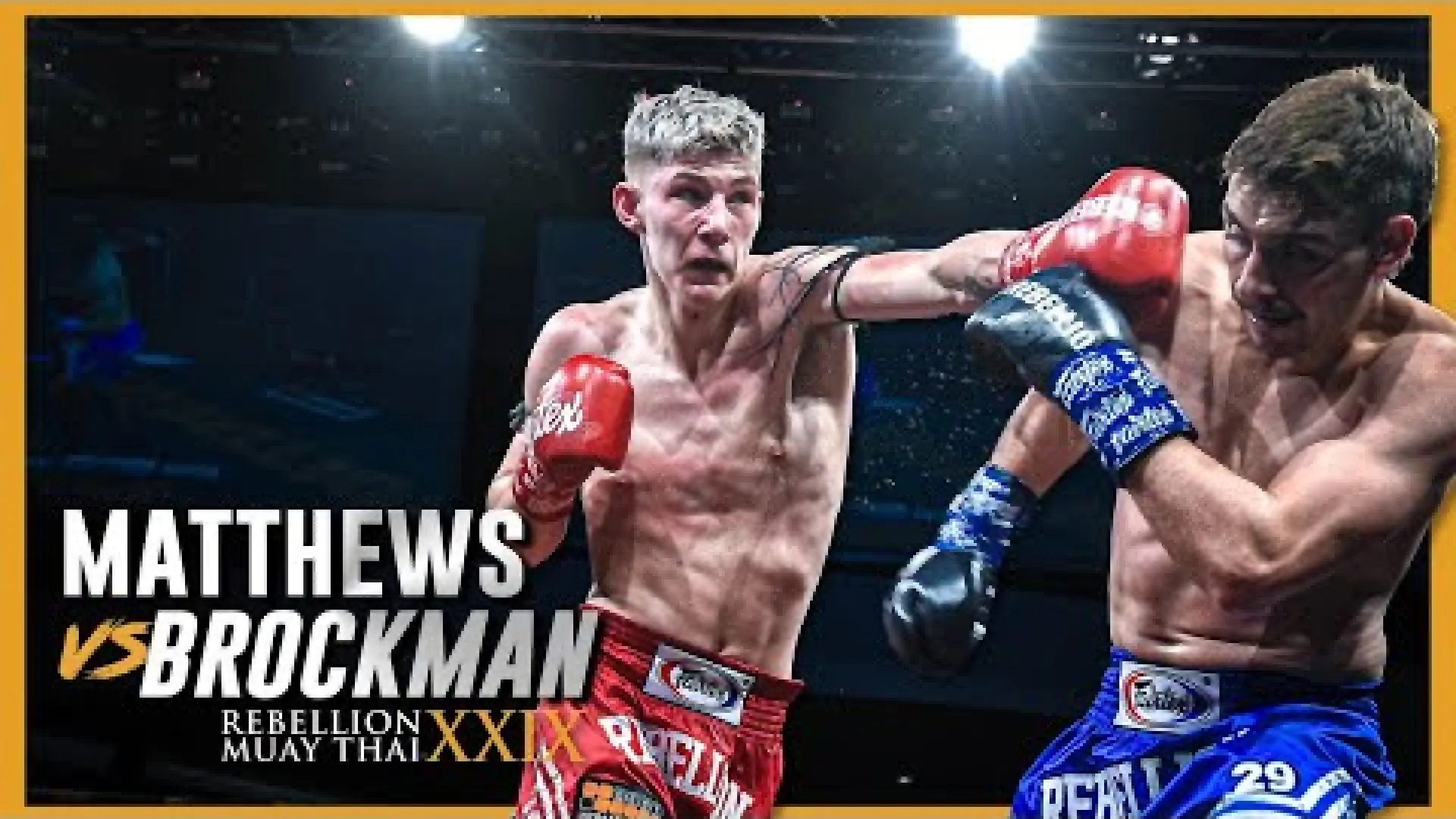 Daniel Matthews vs Murray Brockman (Fight Video)