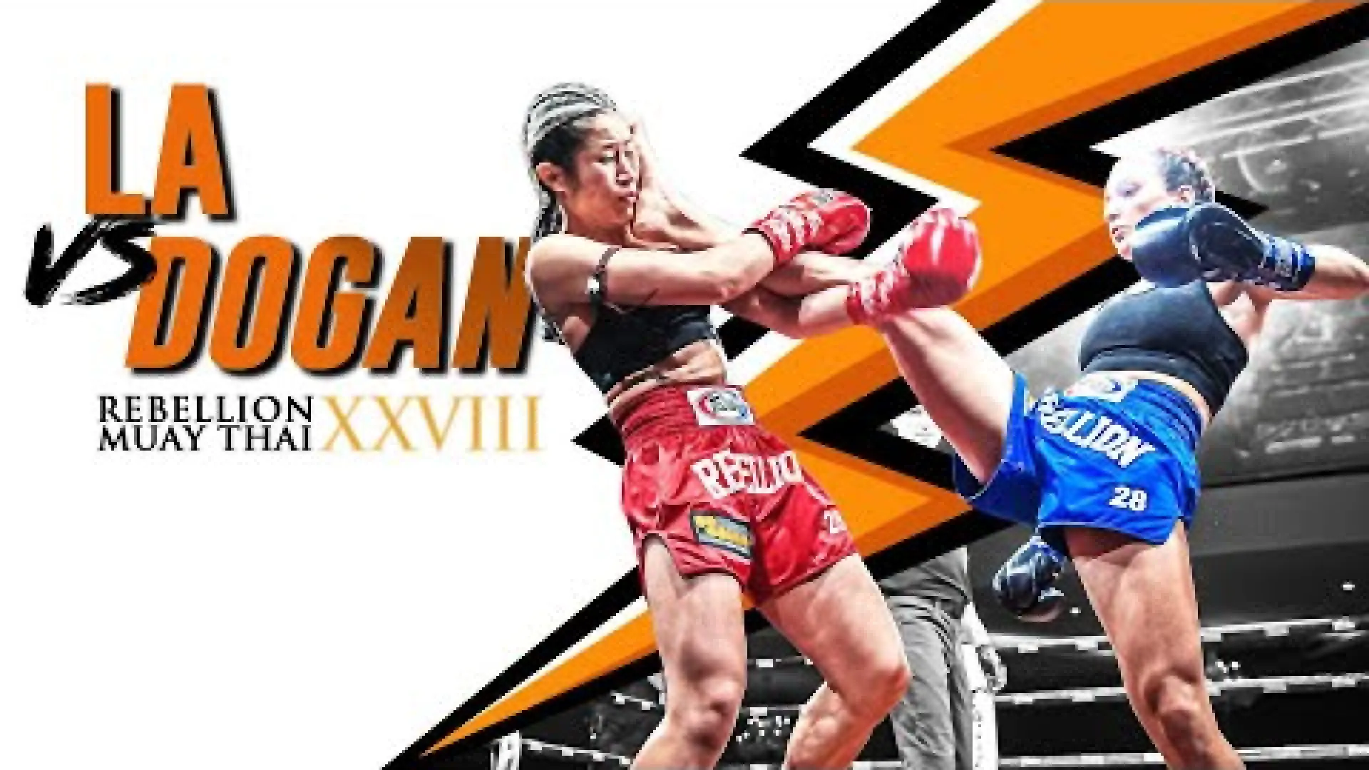 Joanne La vs Zehra Dogan (Fight Video)