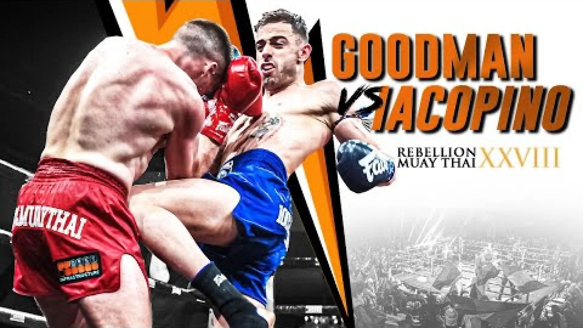 Conor Goodman vs Gianpaolo Iacopino (Fight Video)