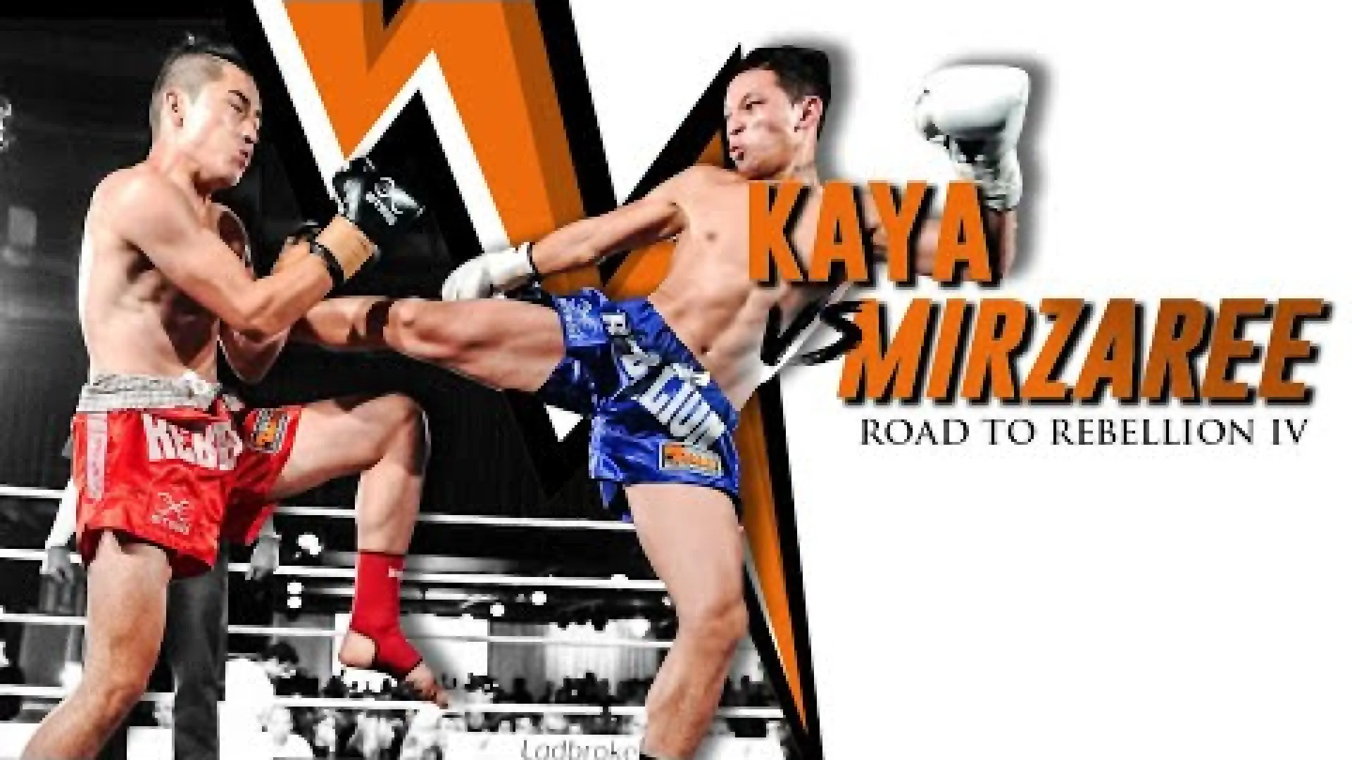 Fatih Kaya vs Mohammad Mirzaree (Fight Video)