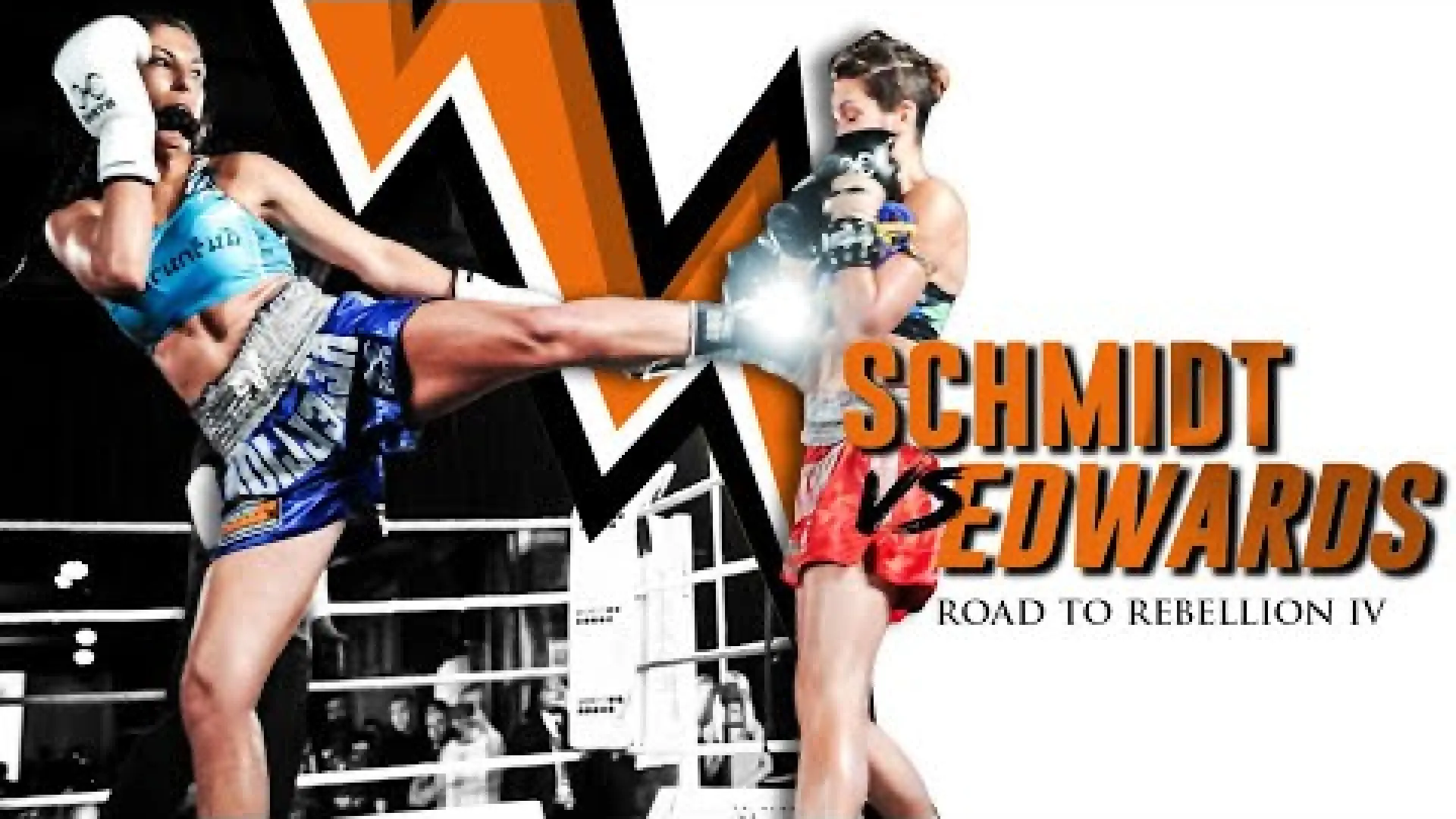 Yolanda Schmidt vs Naty Edwards (Fight Video)