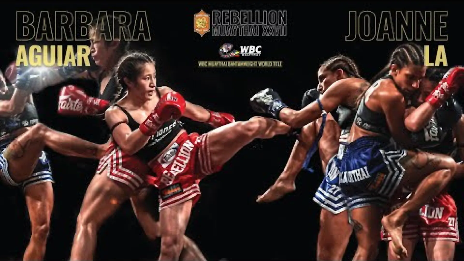 Joanne La vs Barbara Aguiar (Fight Video)