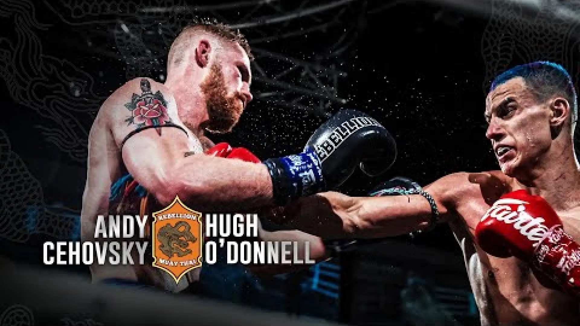 Andy Cehovsky vs Hugh O'Donnell (Fight Video)