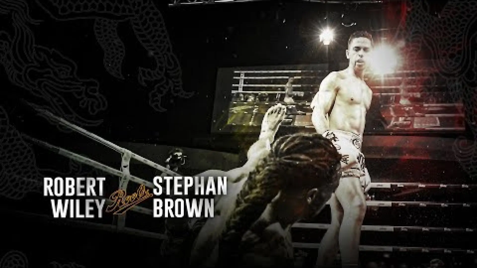 Robert Wiley vs Stephan Brown (Fight Video)