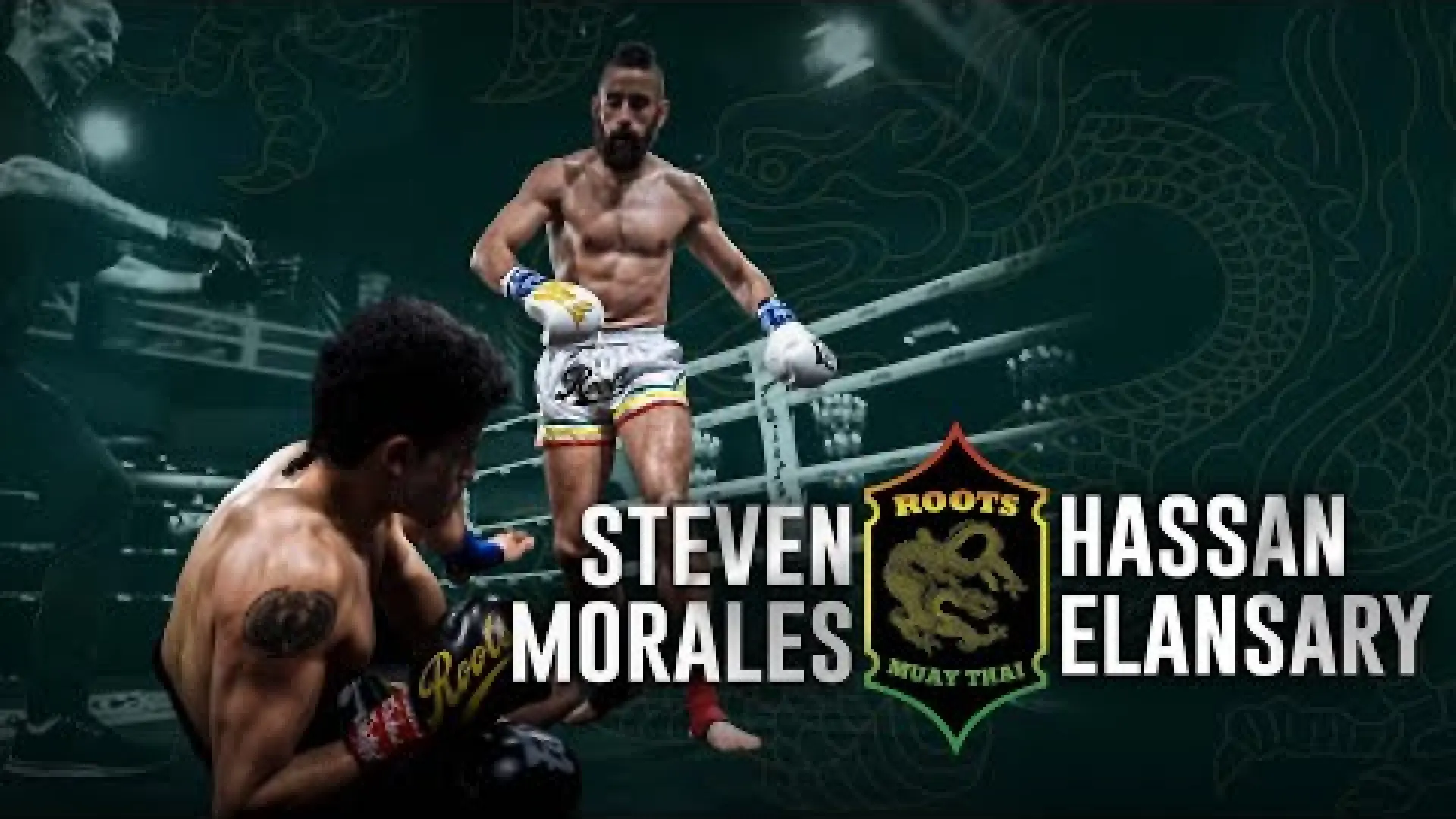 Steven Morales vs Hassan Elansary (Fight Video)
