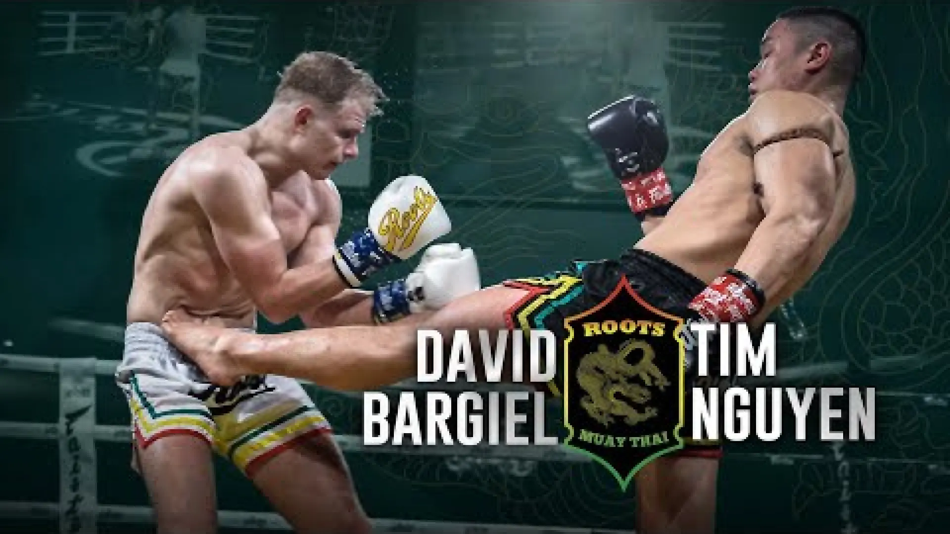 David Bargiel vs Tim Nguyen (Fight Video)