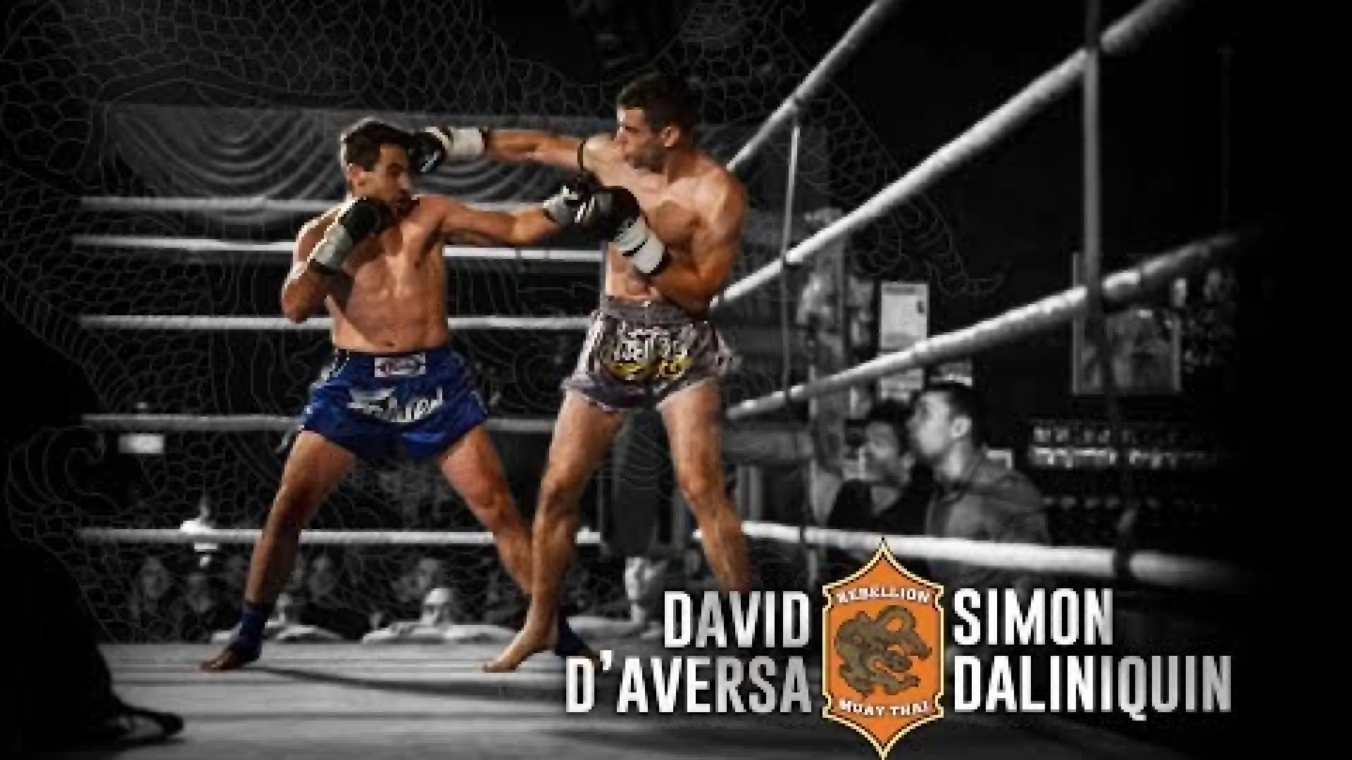 David D'Aversa vs Simon Daliniquin (Fight Video)