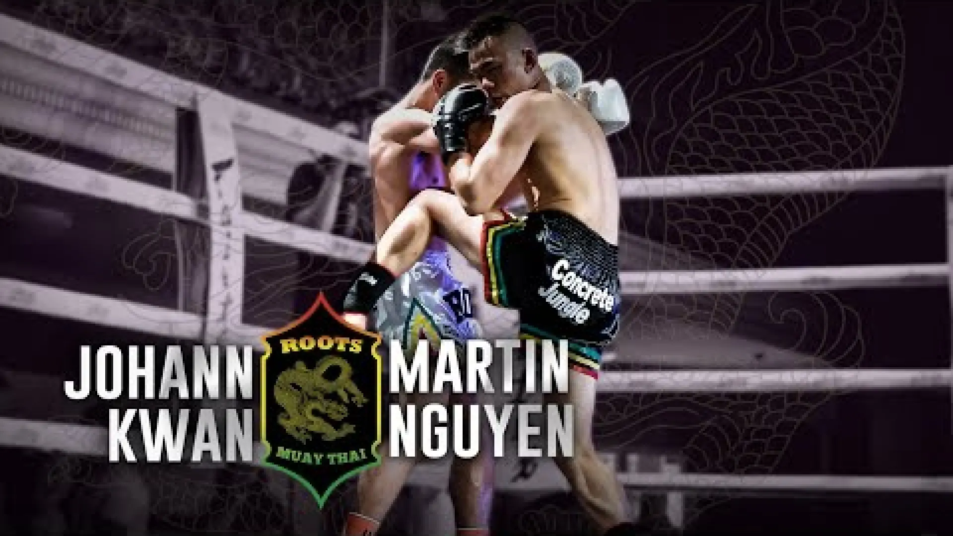 Johann Kwan vs Martin Nguyen (Fight Video)