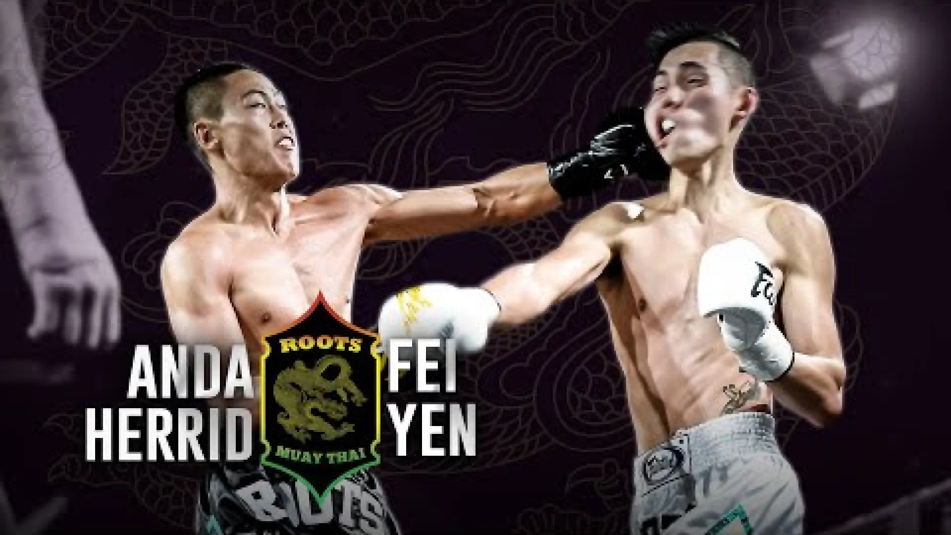 Anda Herrid vs Fei Yen (Fight Video)