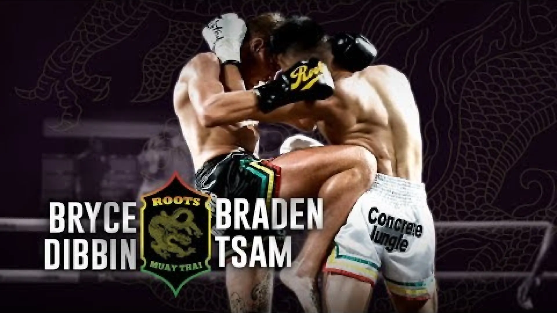 Bryce Dibbin vs Braden Tsam (Fight Video)