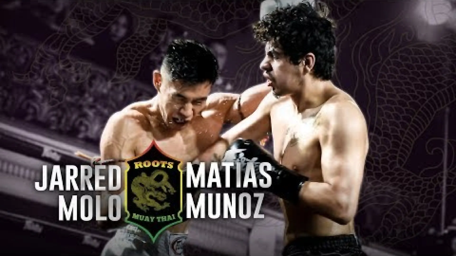 Matias Munoz vs Jarred Molo (Fight Video)