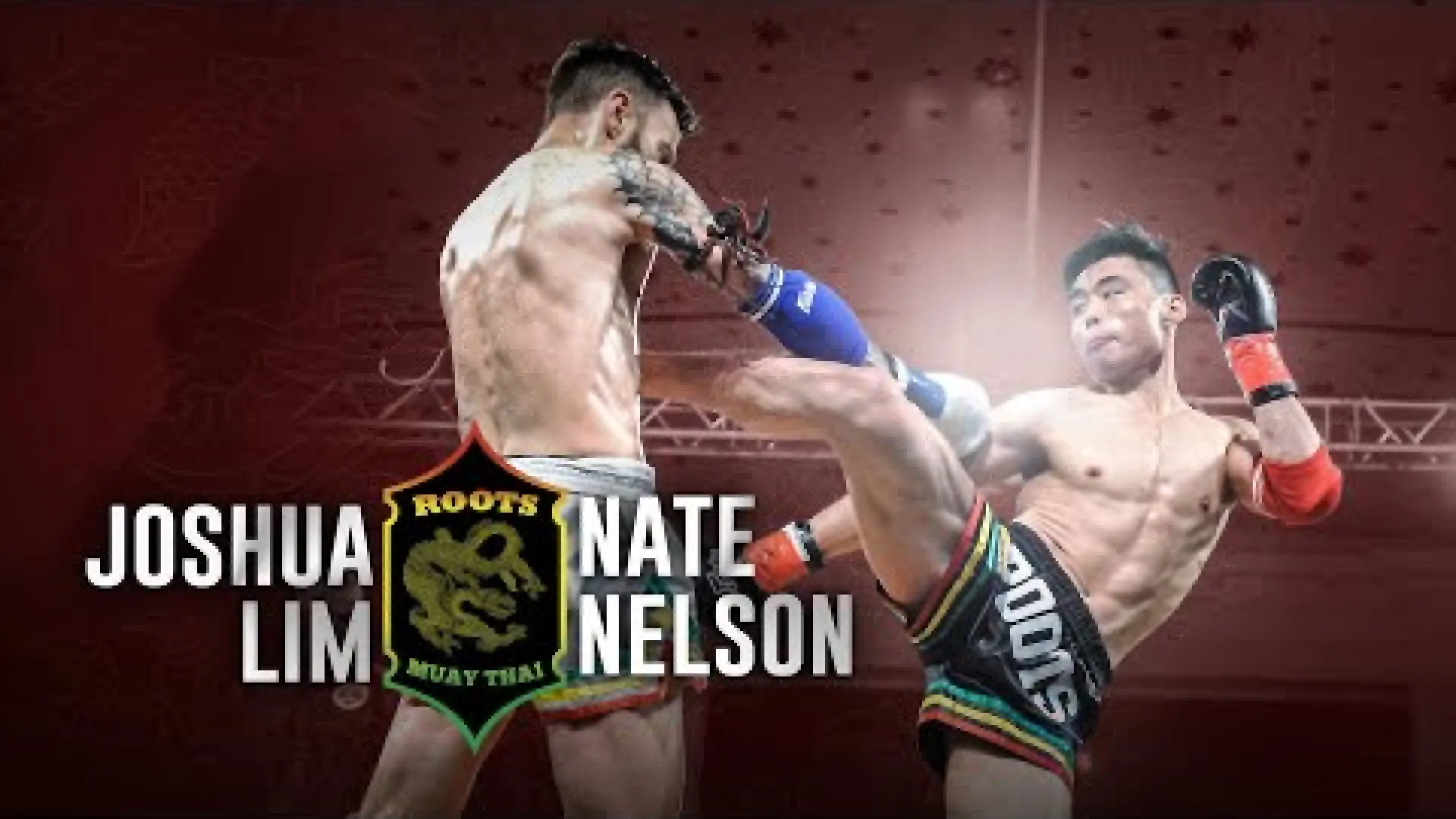 Josh Lim vs Nate Nelson (Fight Video)