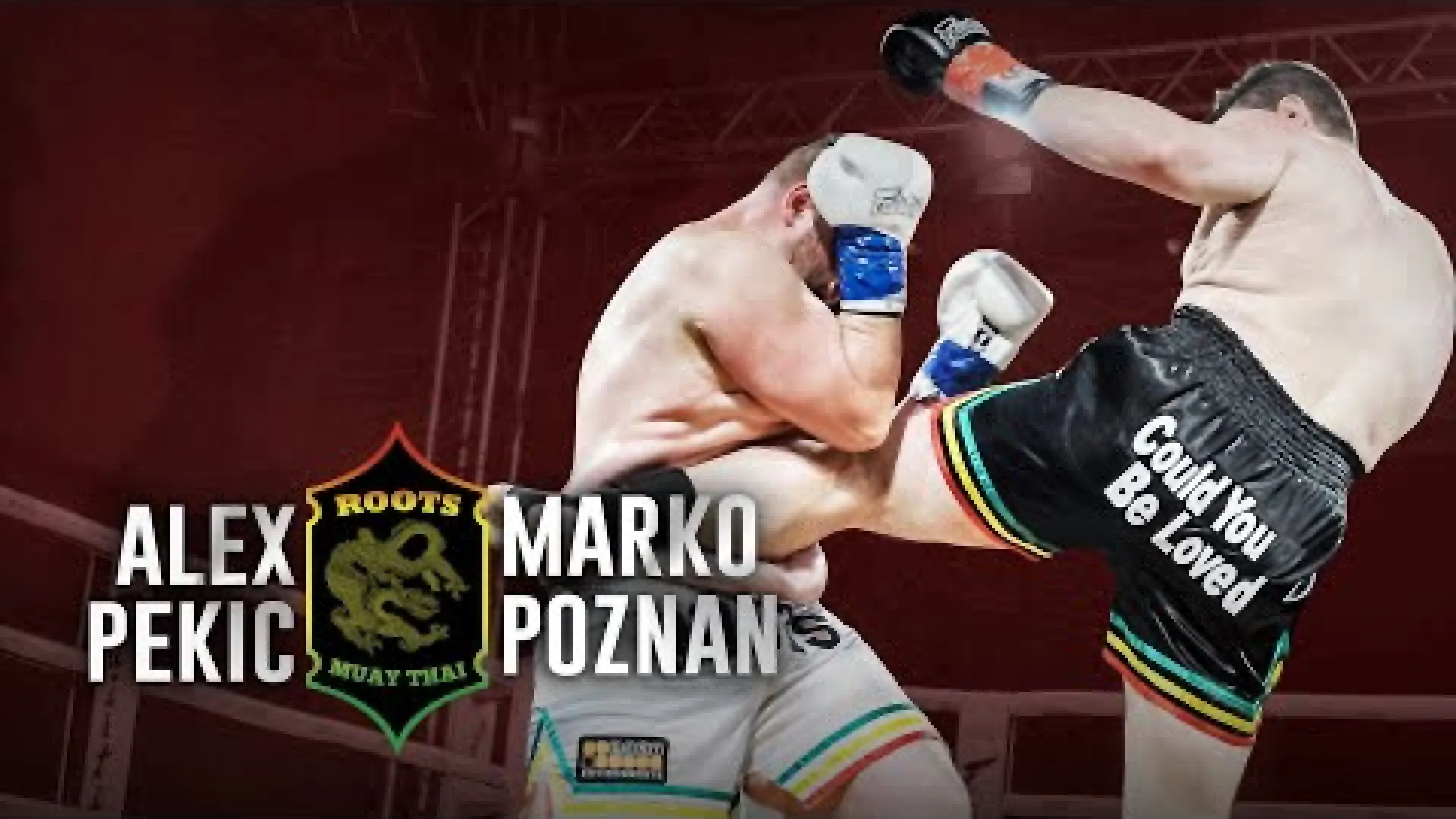 Alex Pekic vs Marko Poznan (Fight Video)