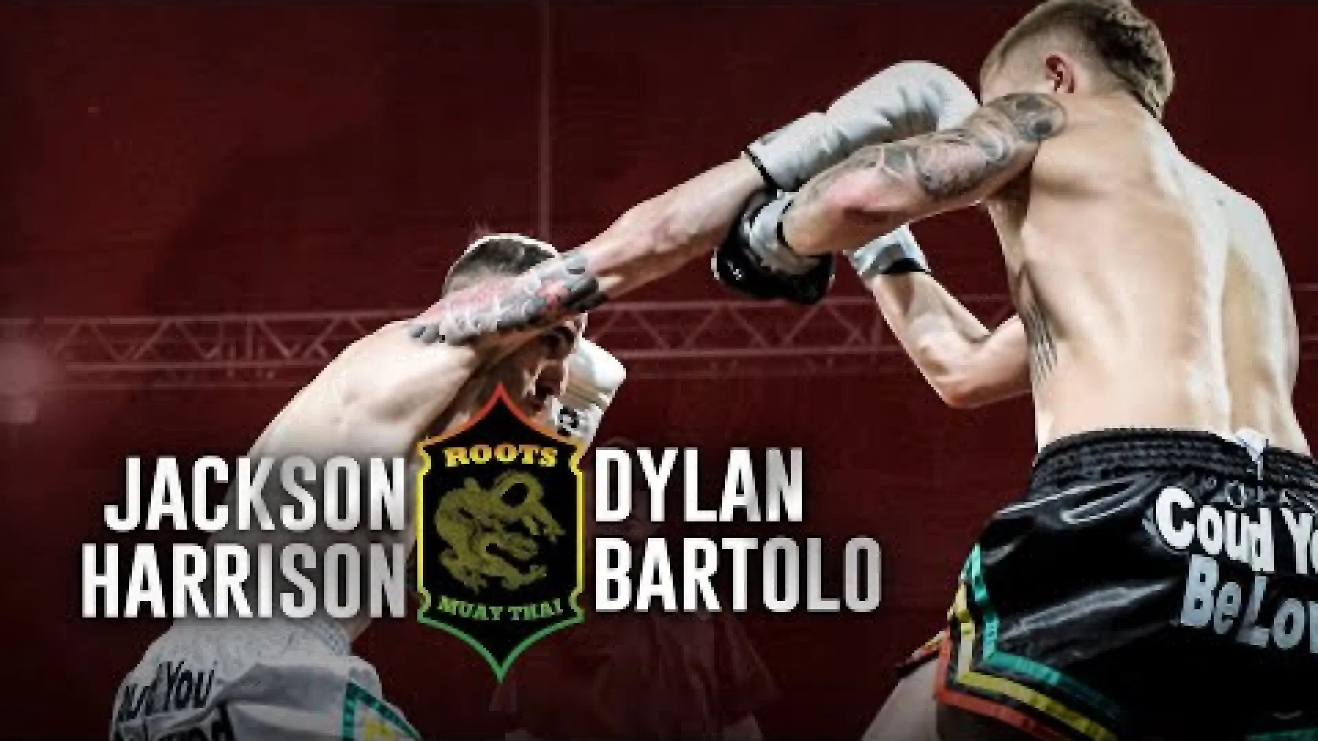 Jackson Harrison vs Dylan Bartolo (Fight Video)