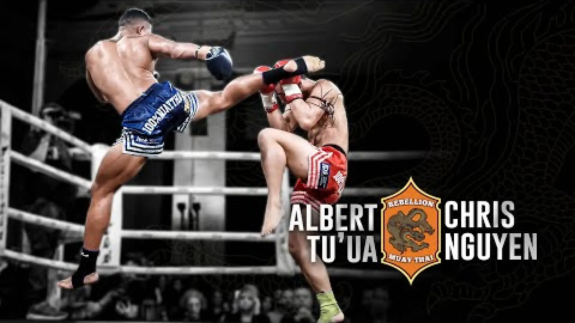 Chris Nguyen vs Albert Tu'ua (Fight Video)