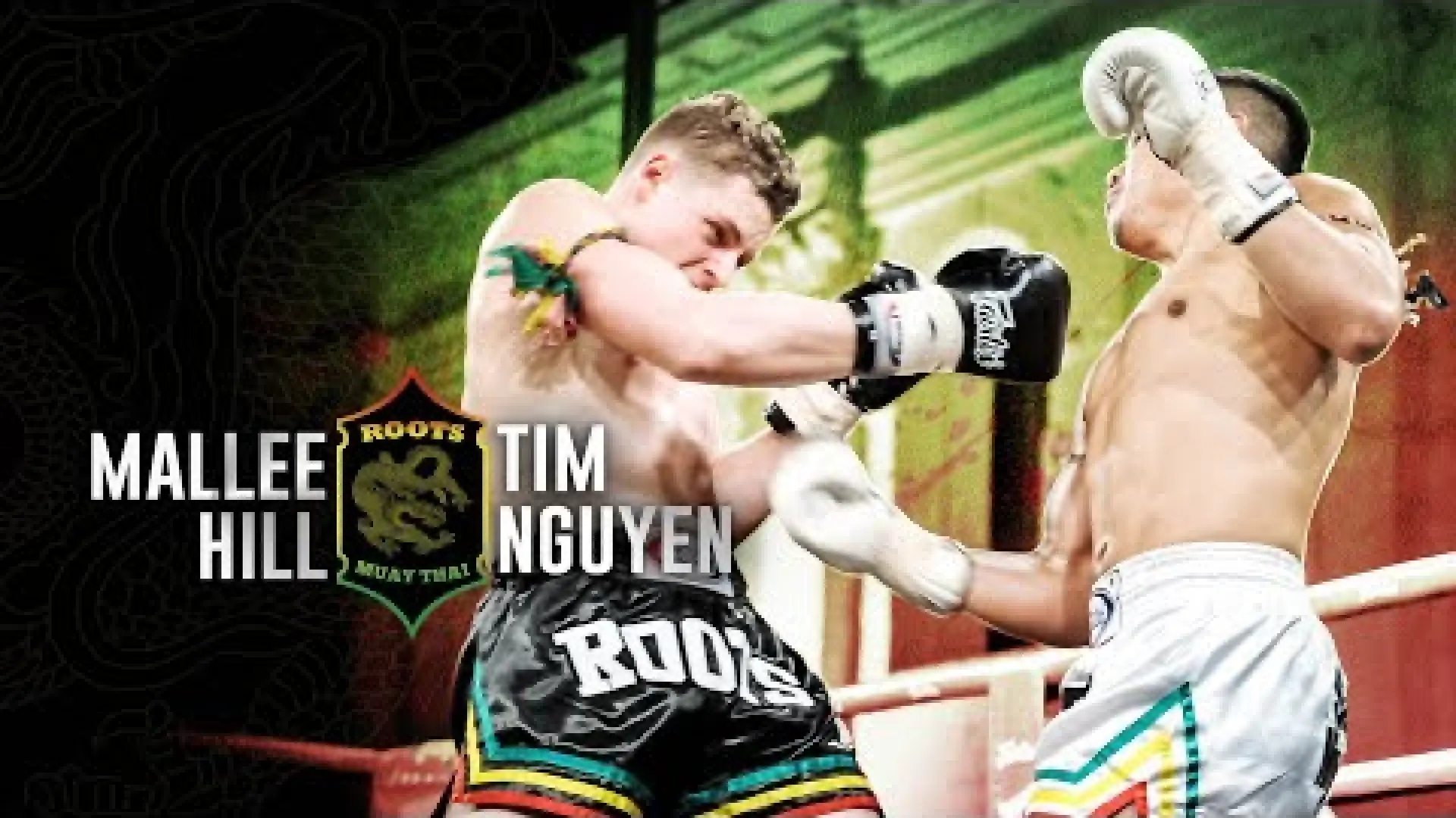 Mallee Hill vs Tim Nguyen (Fight Video)