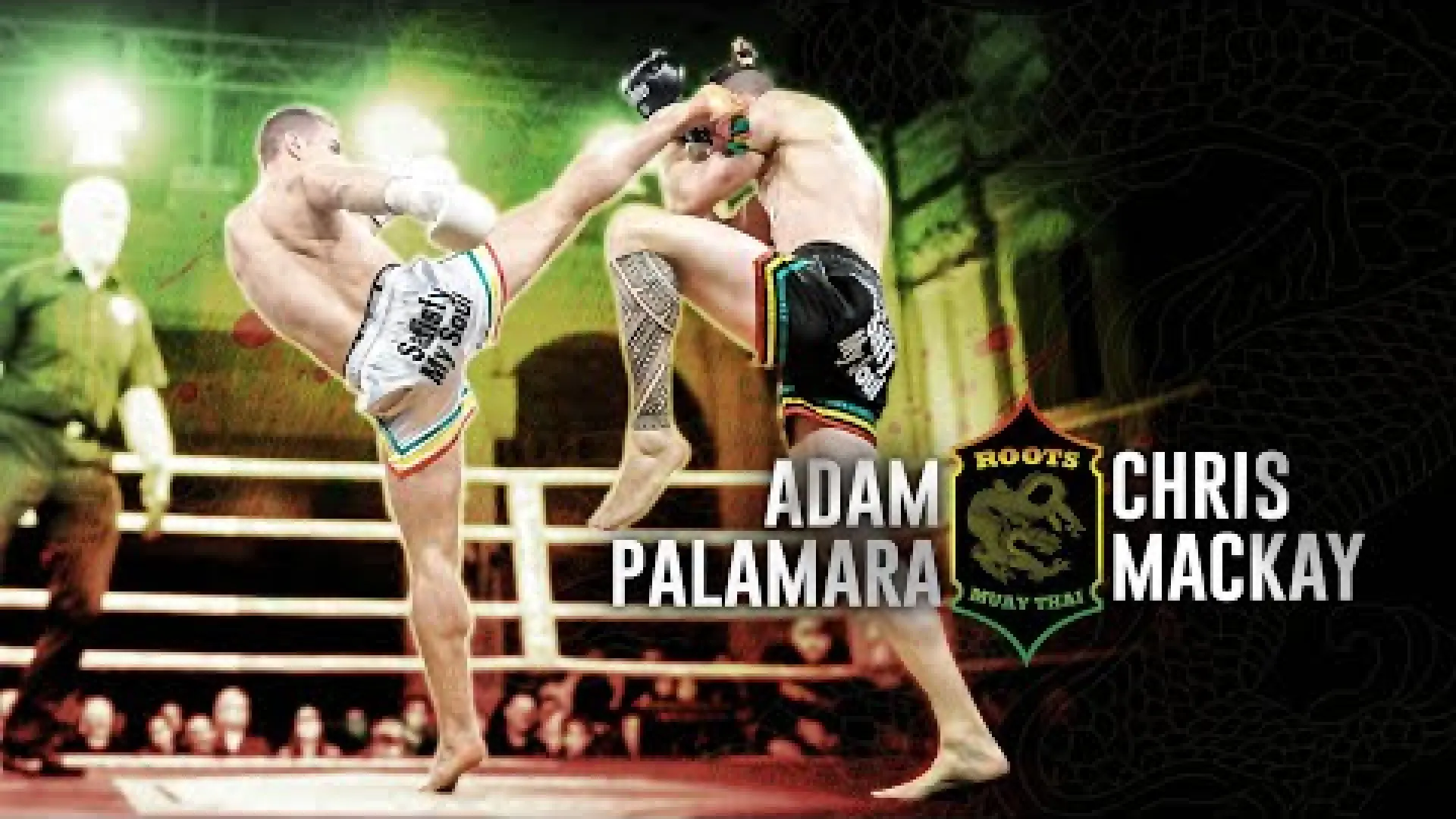 Chris Mackay vs Adam Palamara (Fight Video)