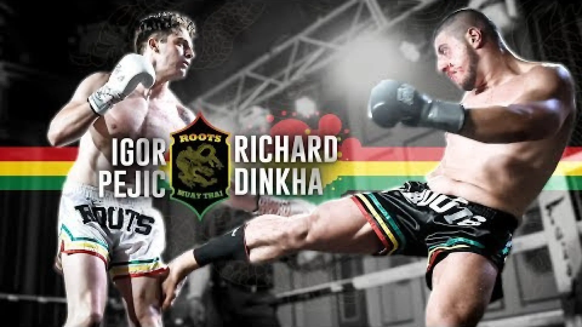 Richard Dinkha vs Igor Pejic (Fight Video)