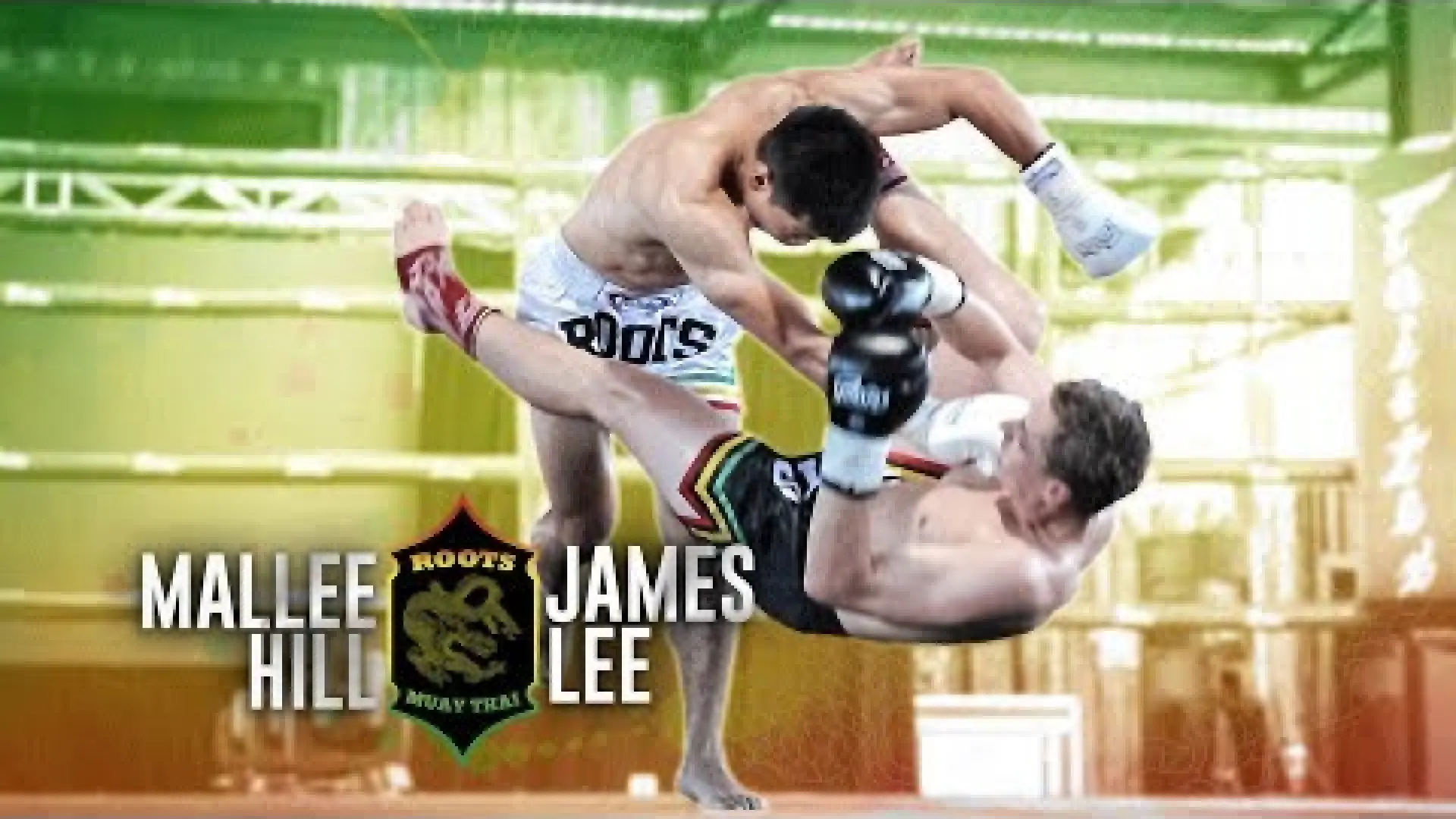 Mallee Hill vs James Lee (Fight Video)