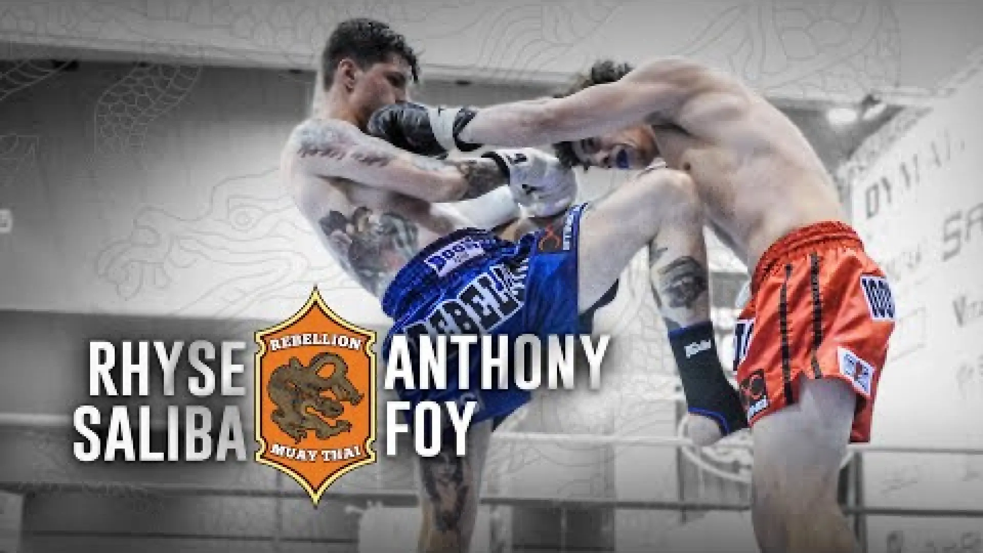 Rhyse Saliba vs Anthony Foy (Fight Video)
