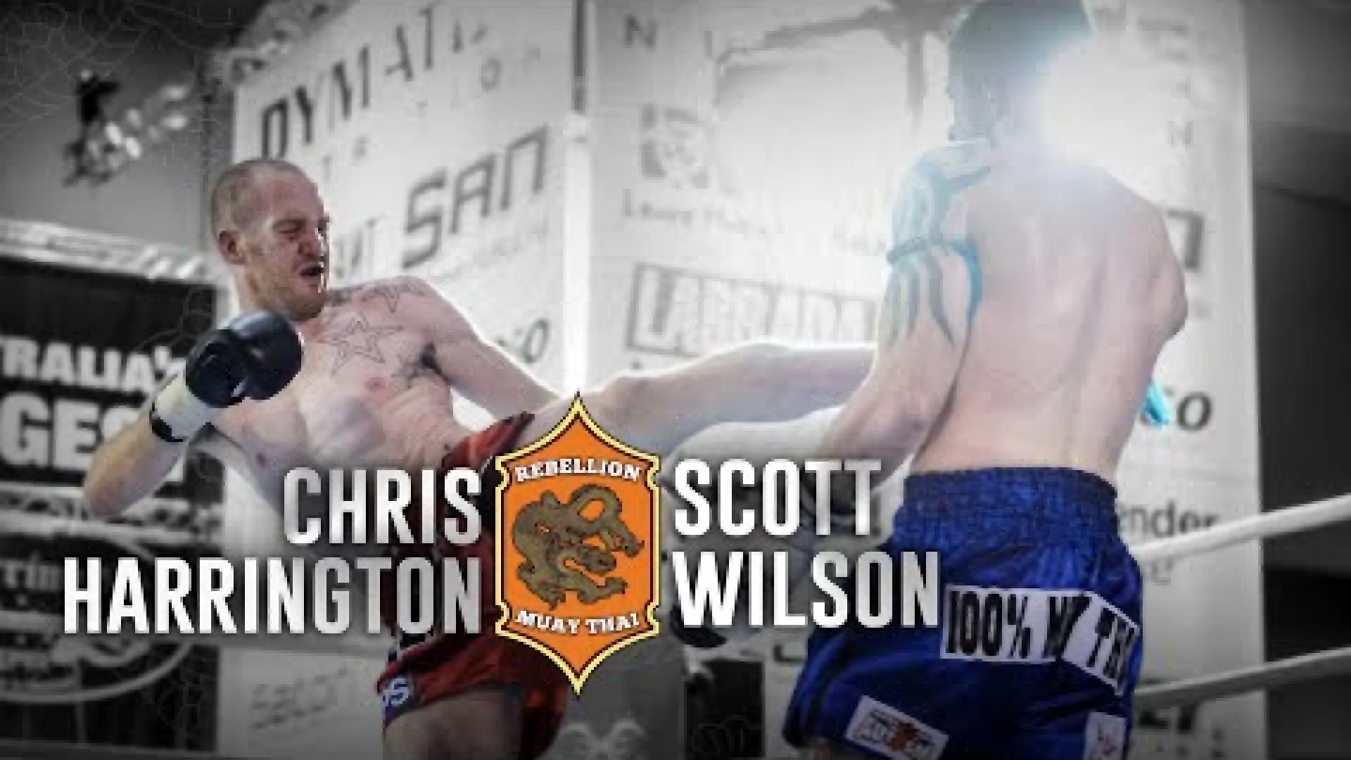 Chris Harrington vs Scott Wilson (Fight Video)