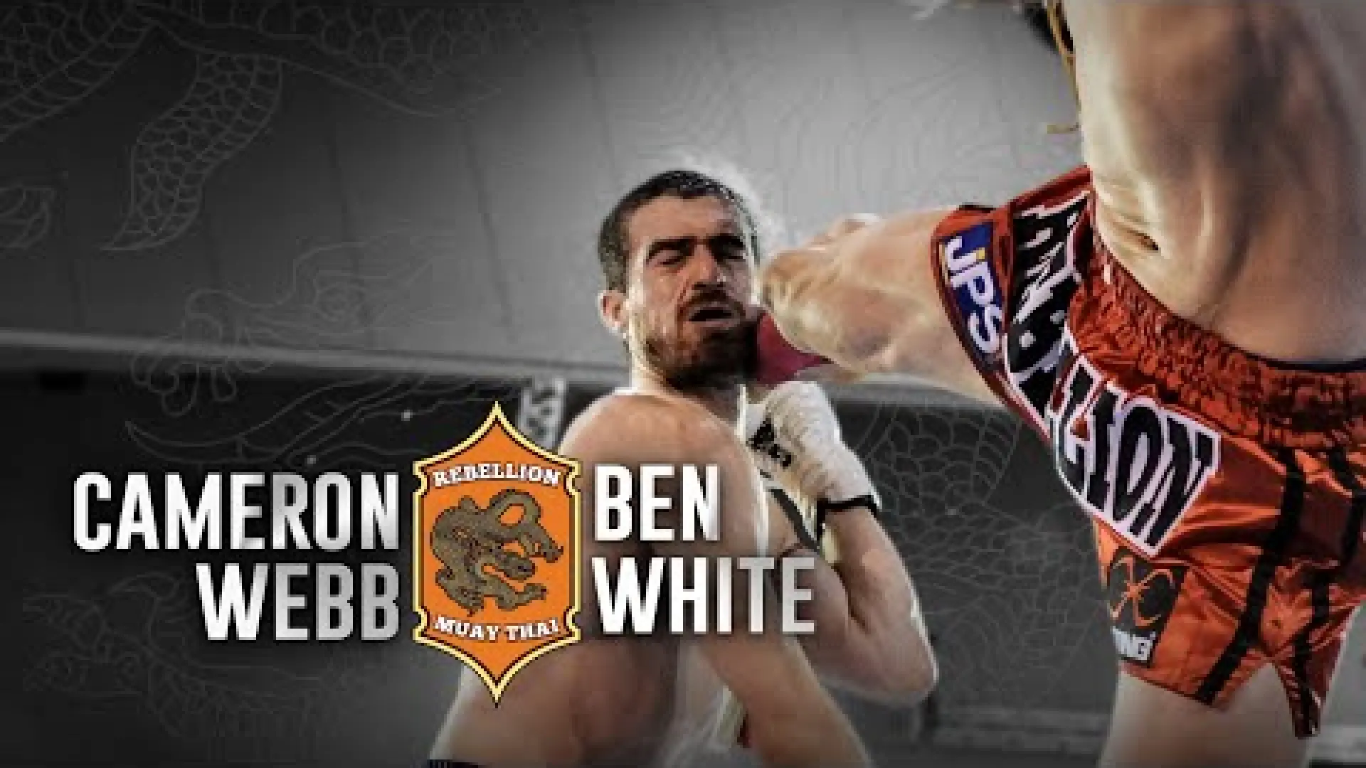 Cameron Webb vs Ben White (Fight Video)
