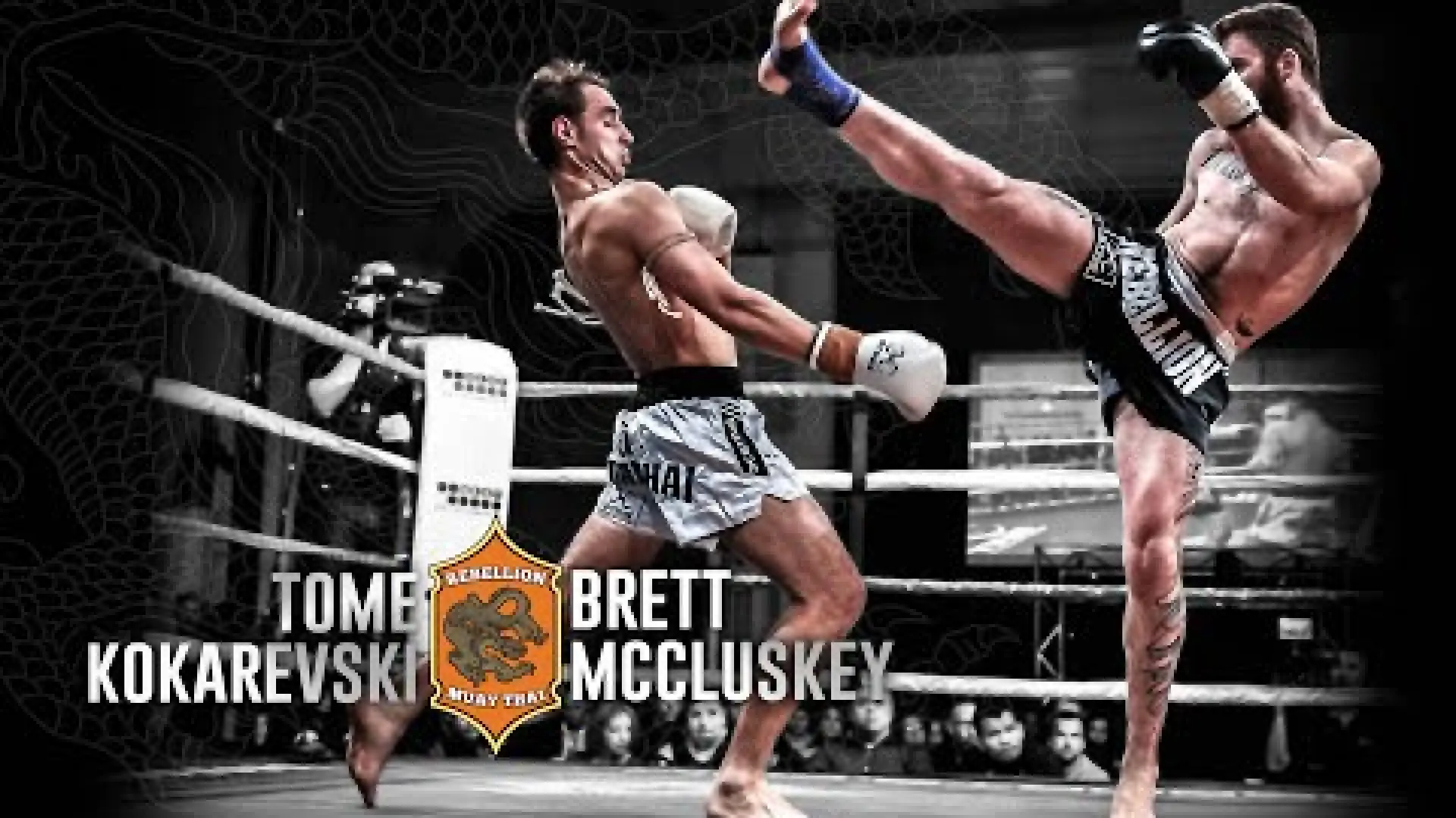 Brett McClusky vs Tome Kokarevski (Fight Video)