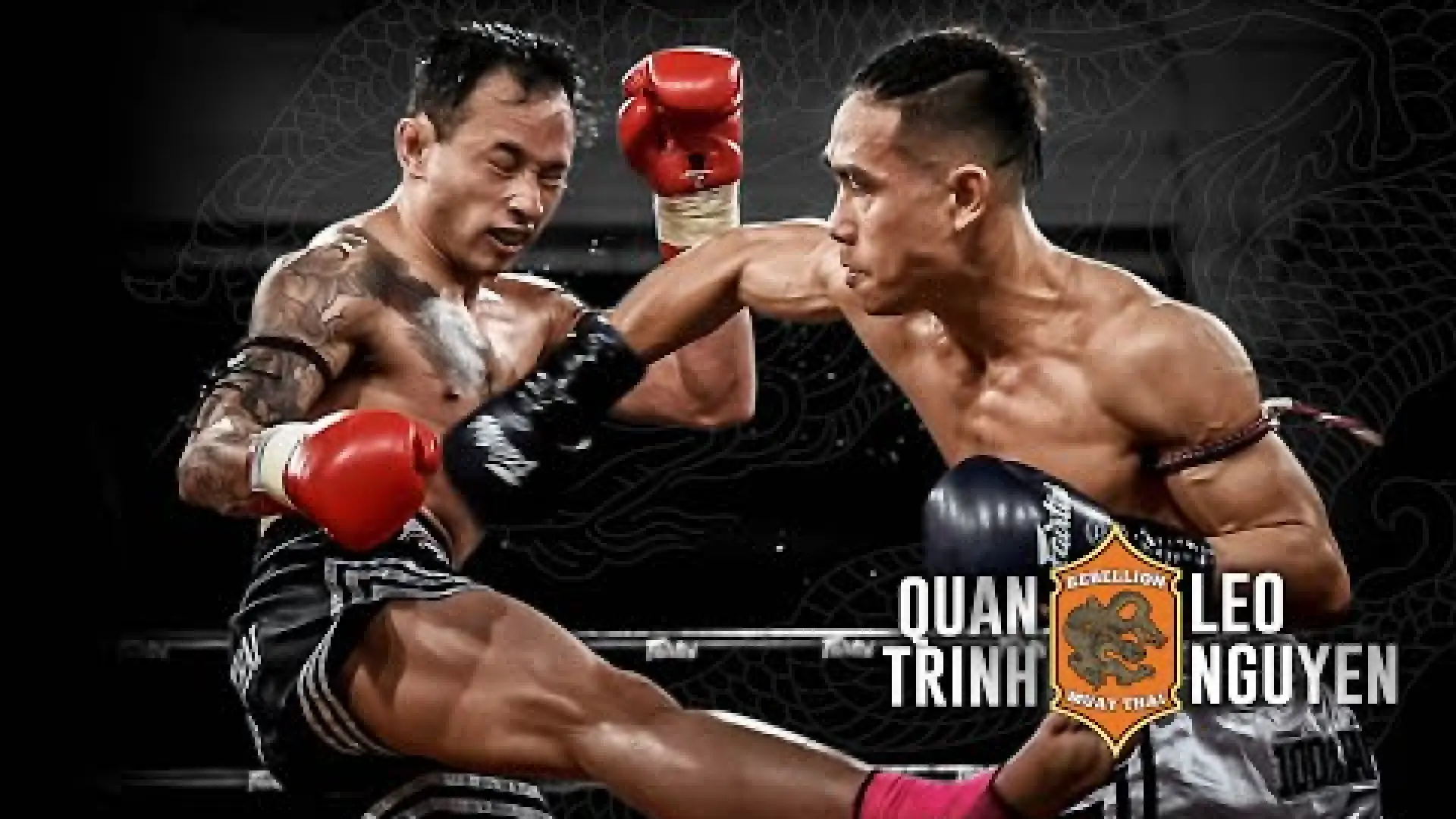Quan Trinh vs Leo Nguyen (Fight Video)