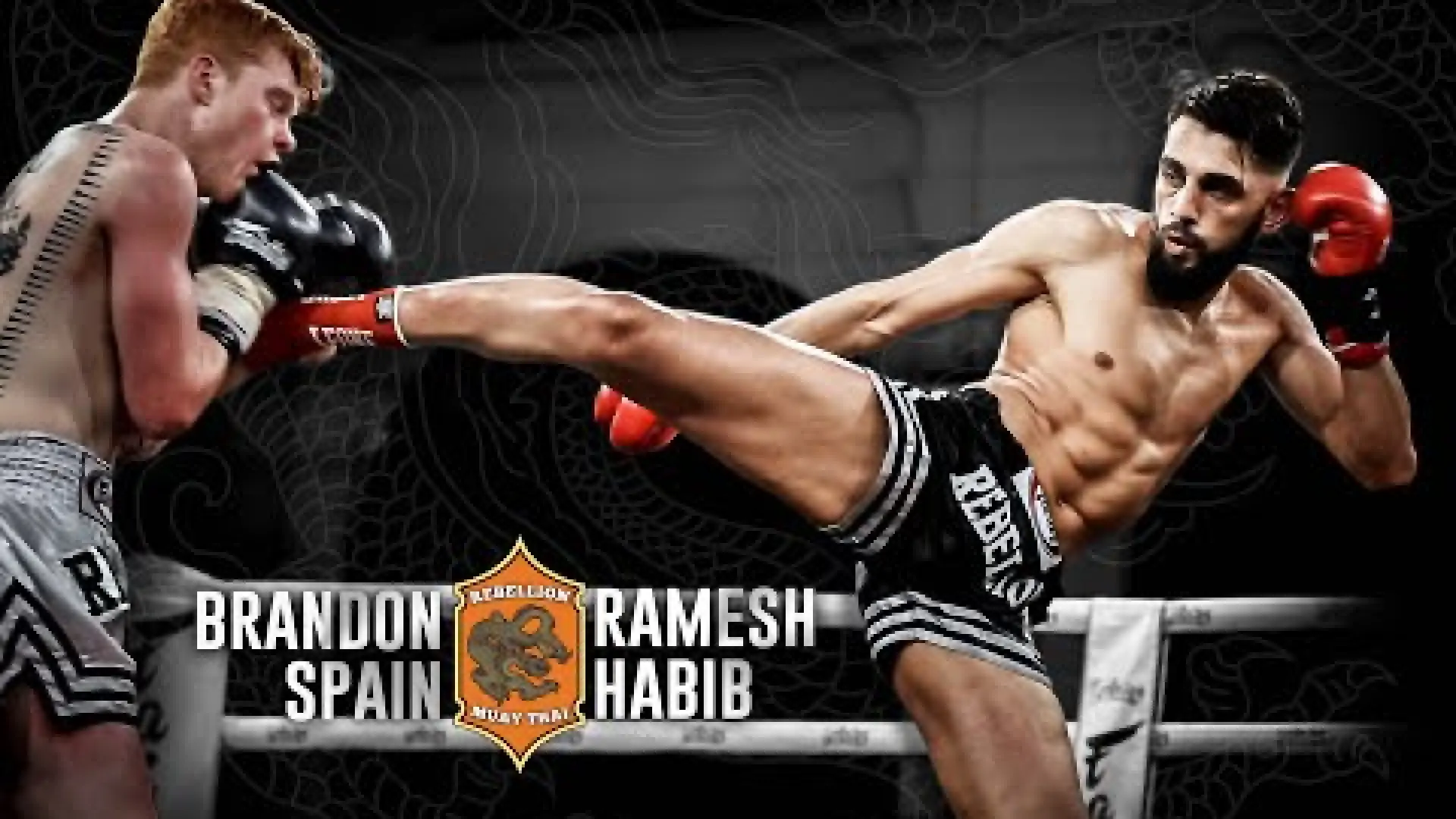 Brandon Spain vs Ramesh Habib (Fight Video)