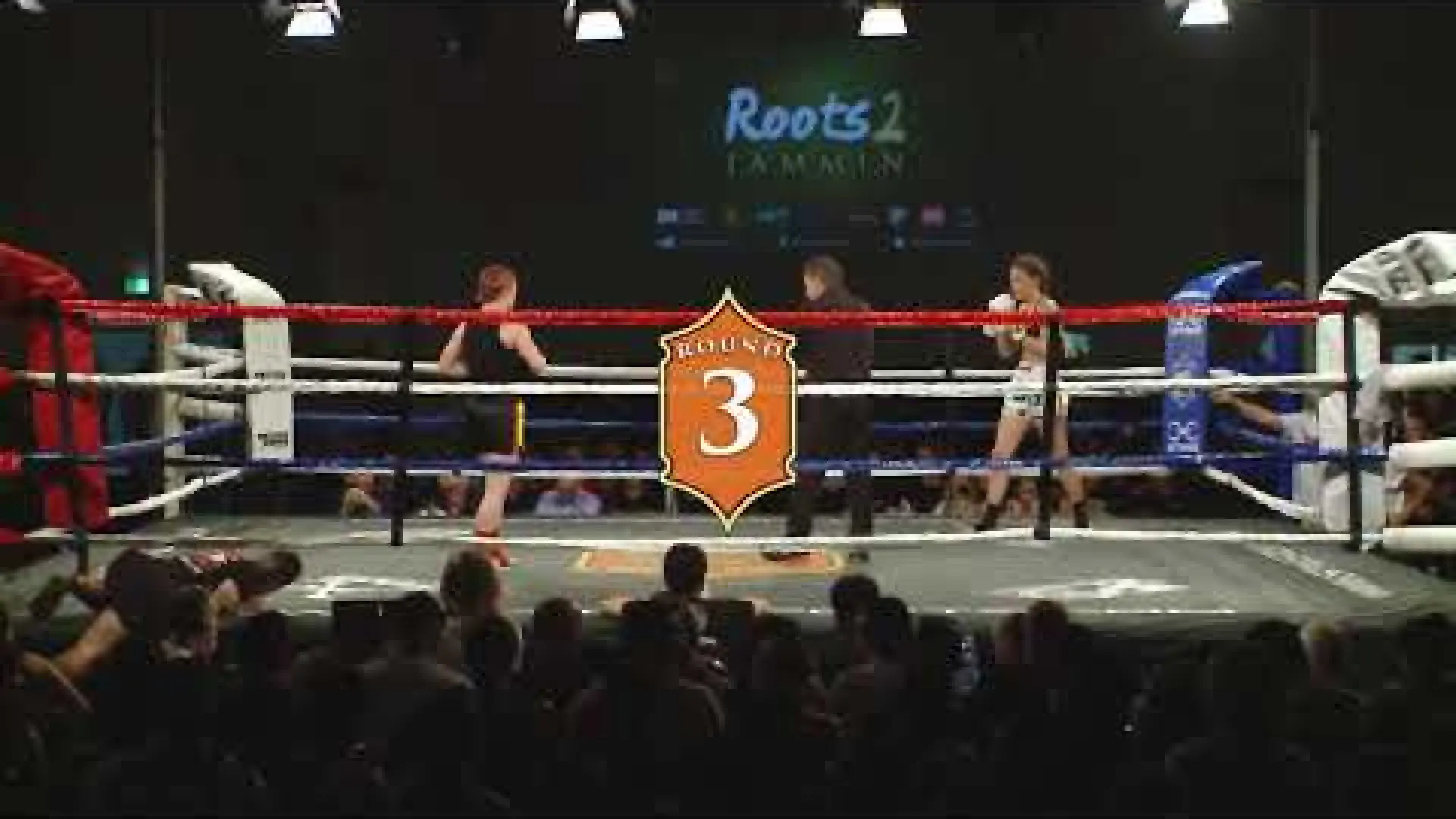 Kiri Dale vs Lilian Dikmans (Fight Video)