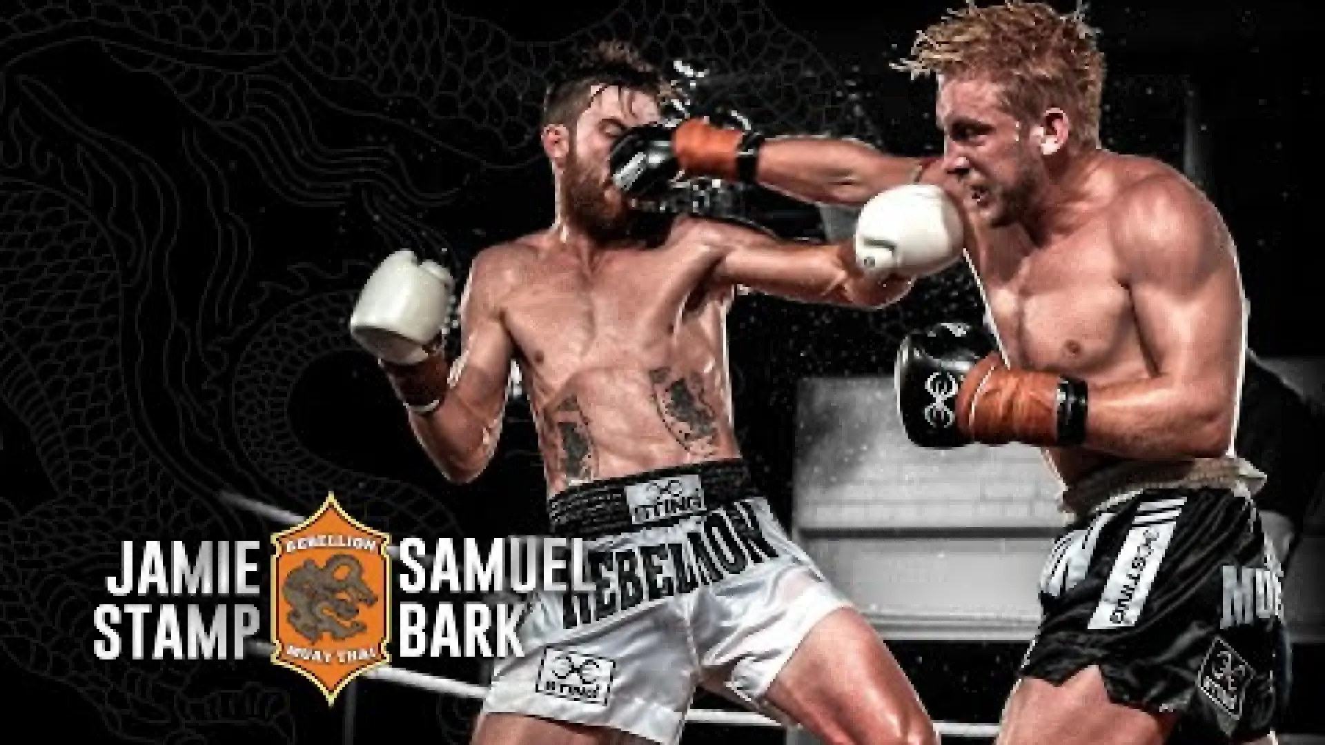 Samuel Bark vs Jamie Stamp (Fight Video)
