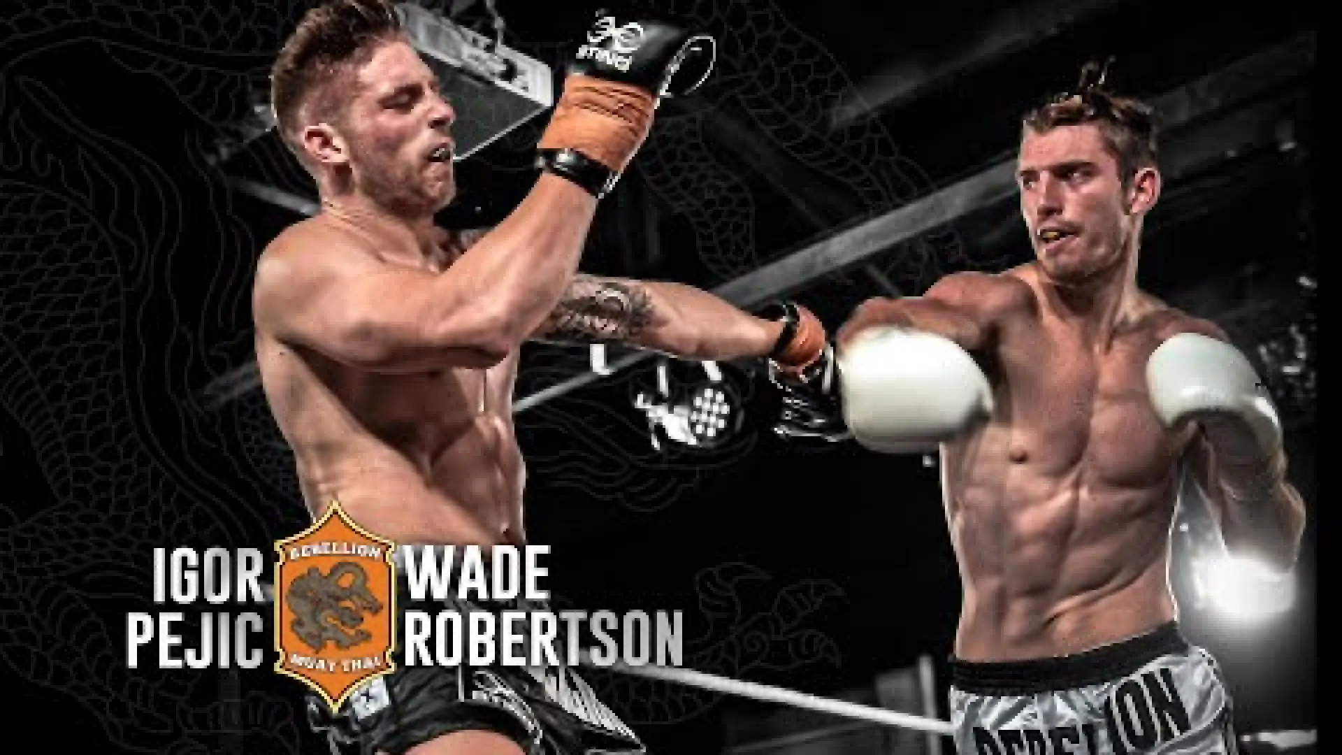 Igor Pejic vs Wade Robertson (Fight Video)