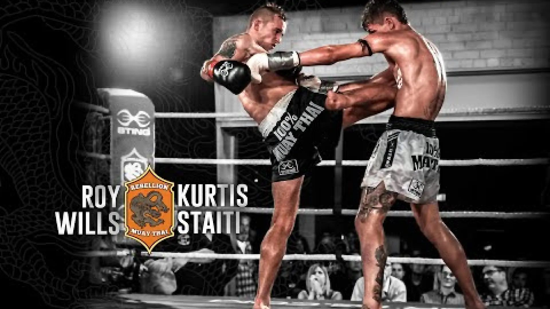 Roy Wills vs Kurtis Staiti (Fight Video)