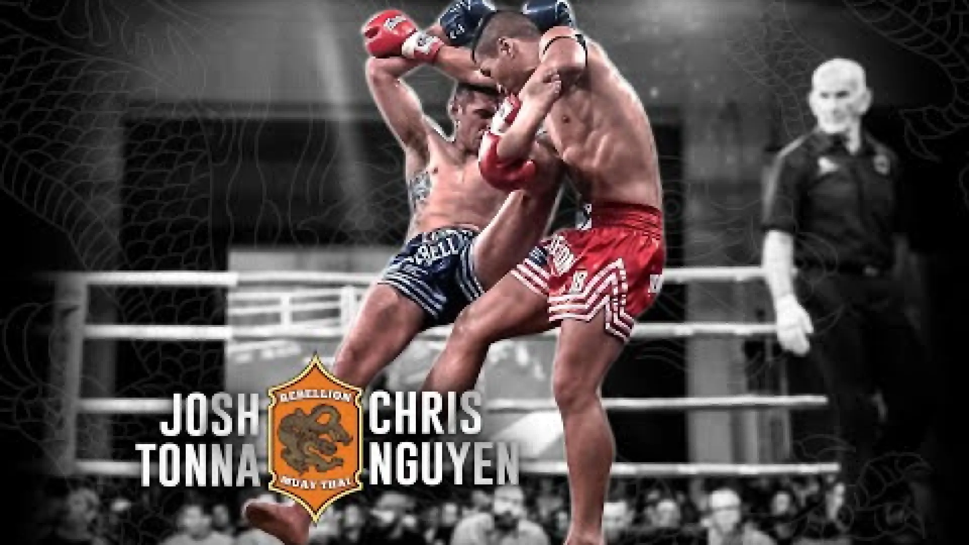 Chris Nguyen vs Josh Tonna (Fight Video)