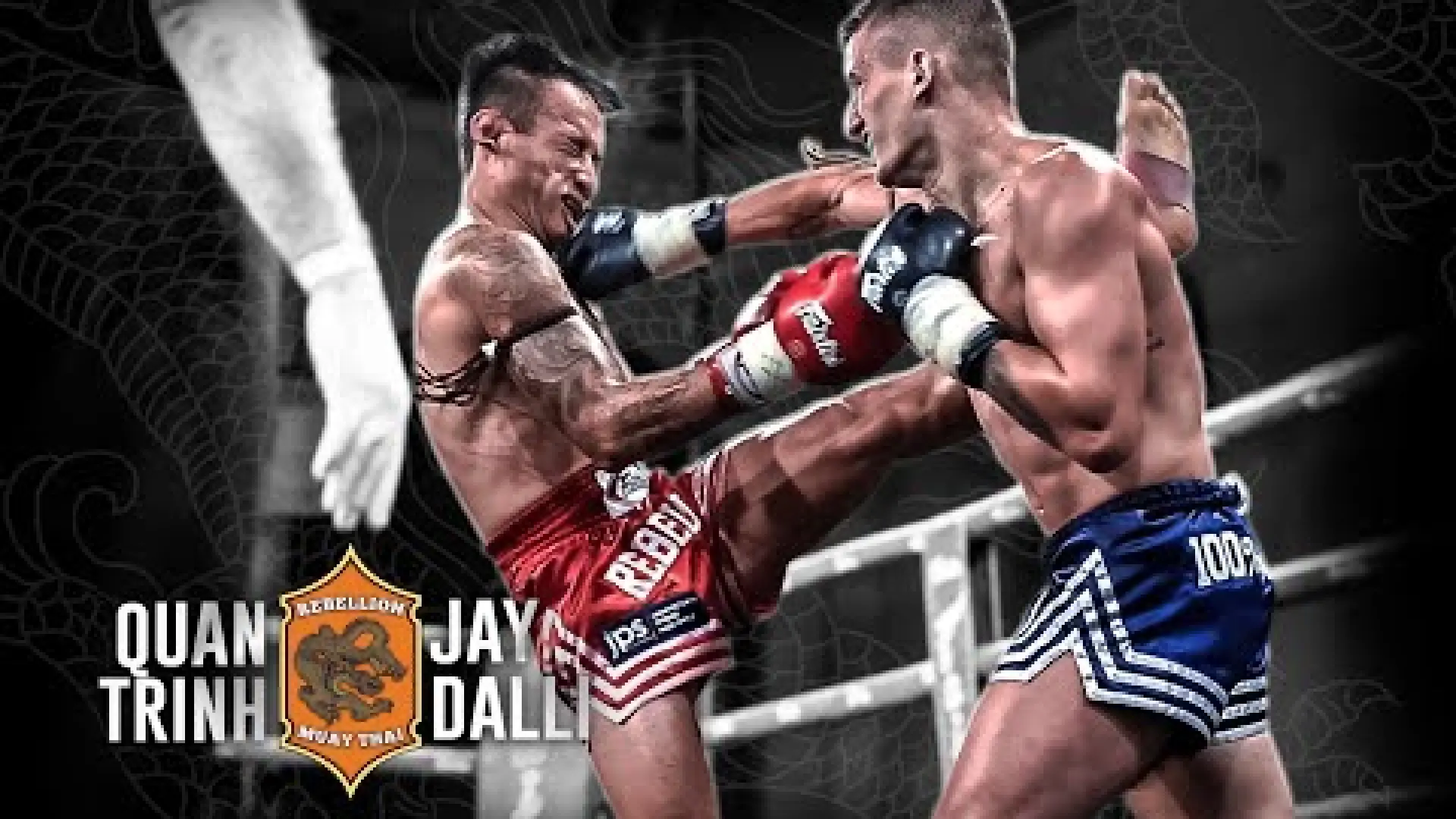 Quan Trinh vs Jay Dalli (Fight Video)