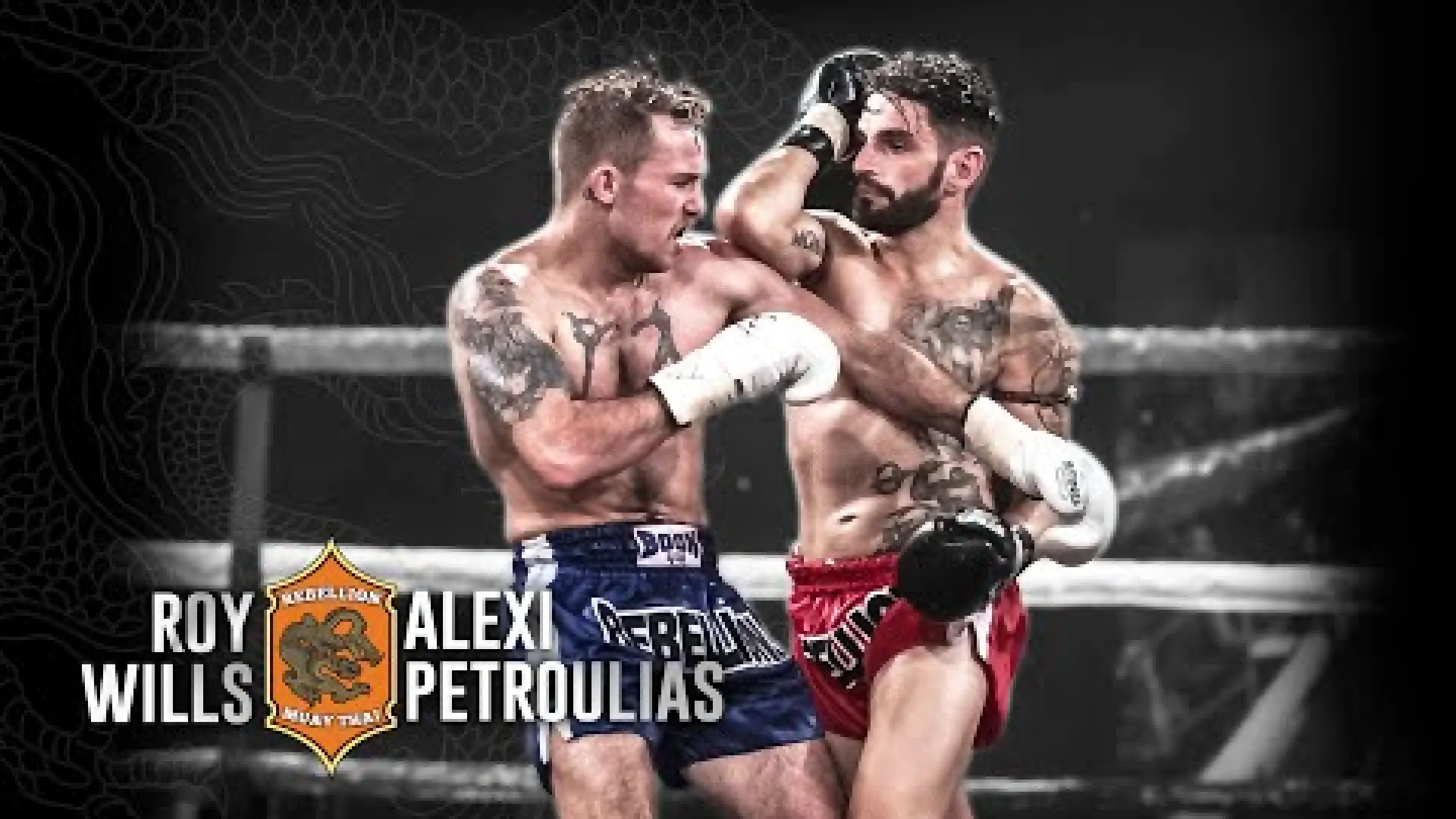 Roy Wills vs Alex Petroulias (Fight Video)