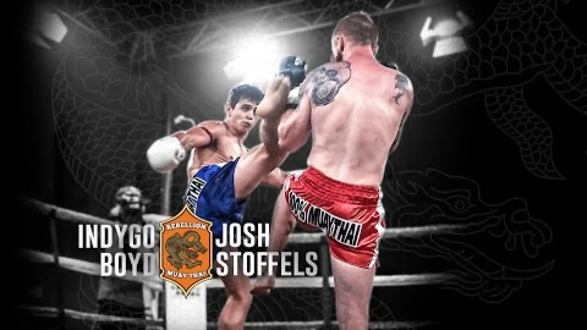 Indigo Boyd vs Josh Stoffels (Fight Video)