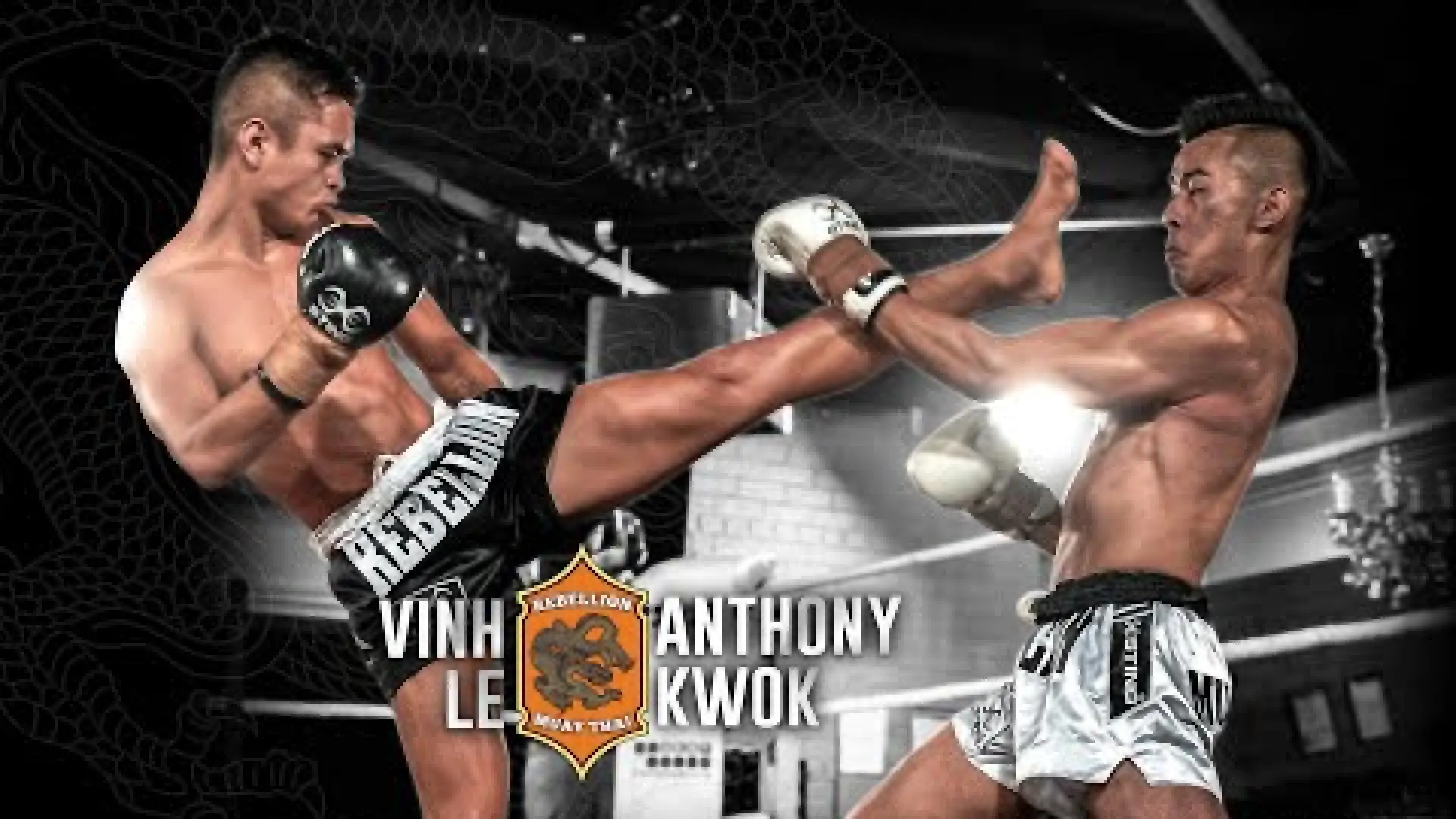 Vinh Le vs Anthony Kwok (Fight Video)