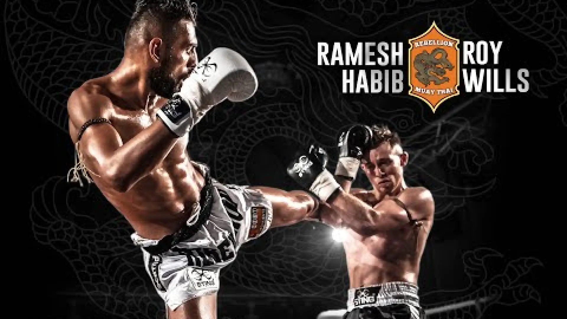Roy Wills vs Ramesh Habib (Fight Video)