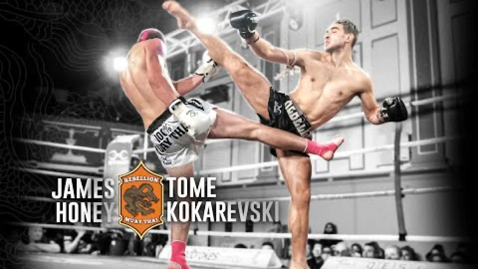 Tome Kokarevski vs James Honey (Fight Video)