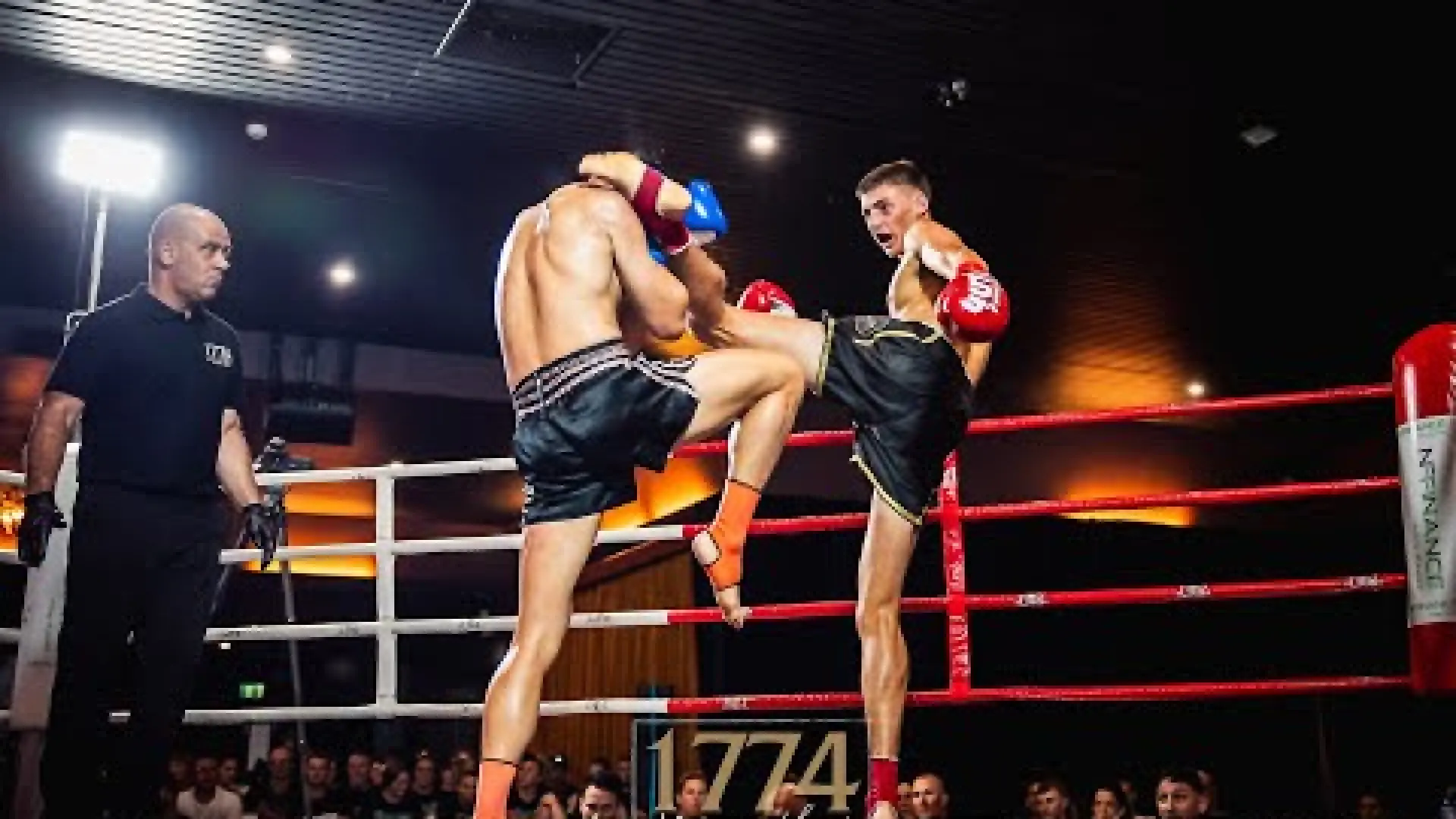 Tariq Luckens vs Jacky Lui (Fight Video)
