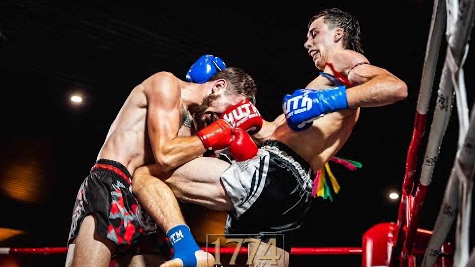Mateo Choisis vs Andrew Mitchell (Fight Video)