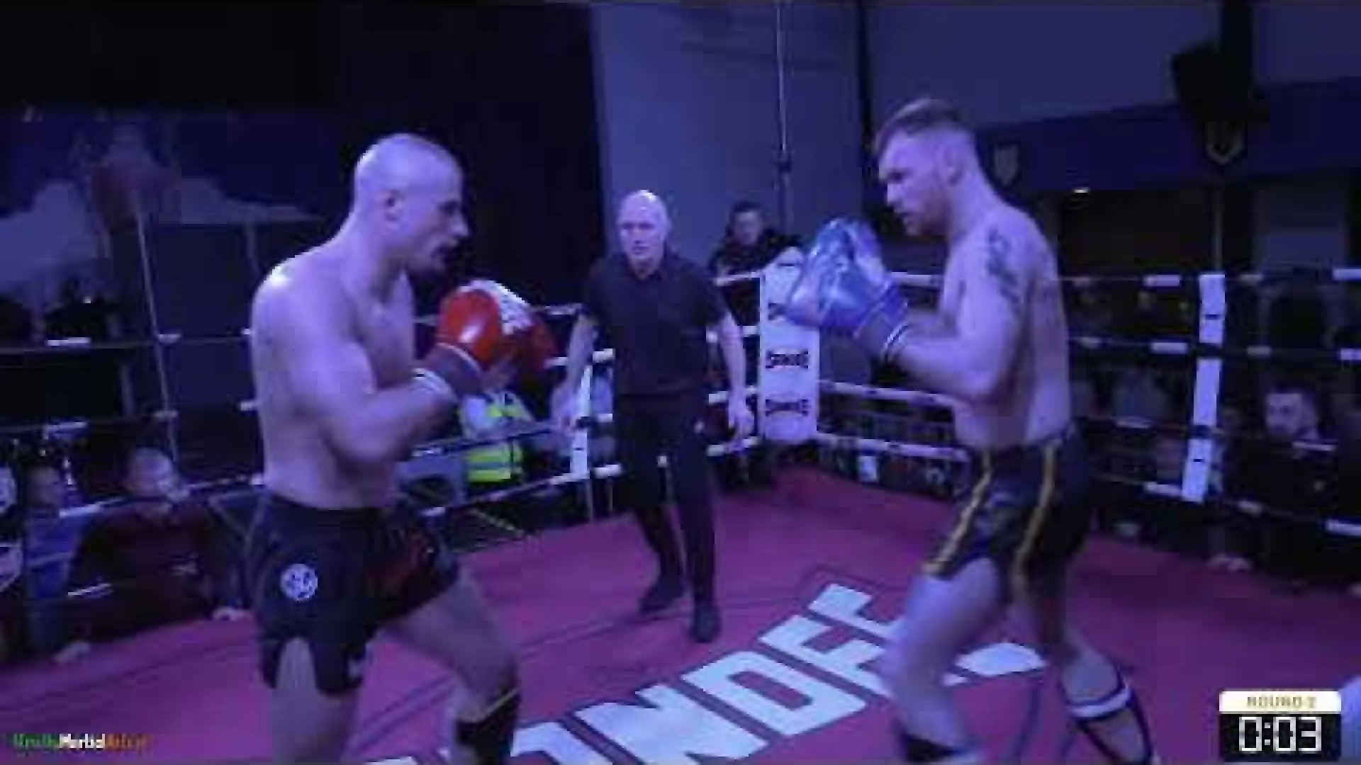 Douglas Quinlan vs Ruairi Dalton (Fight Video)
